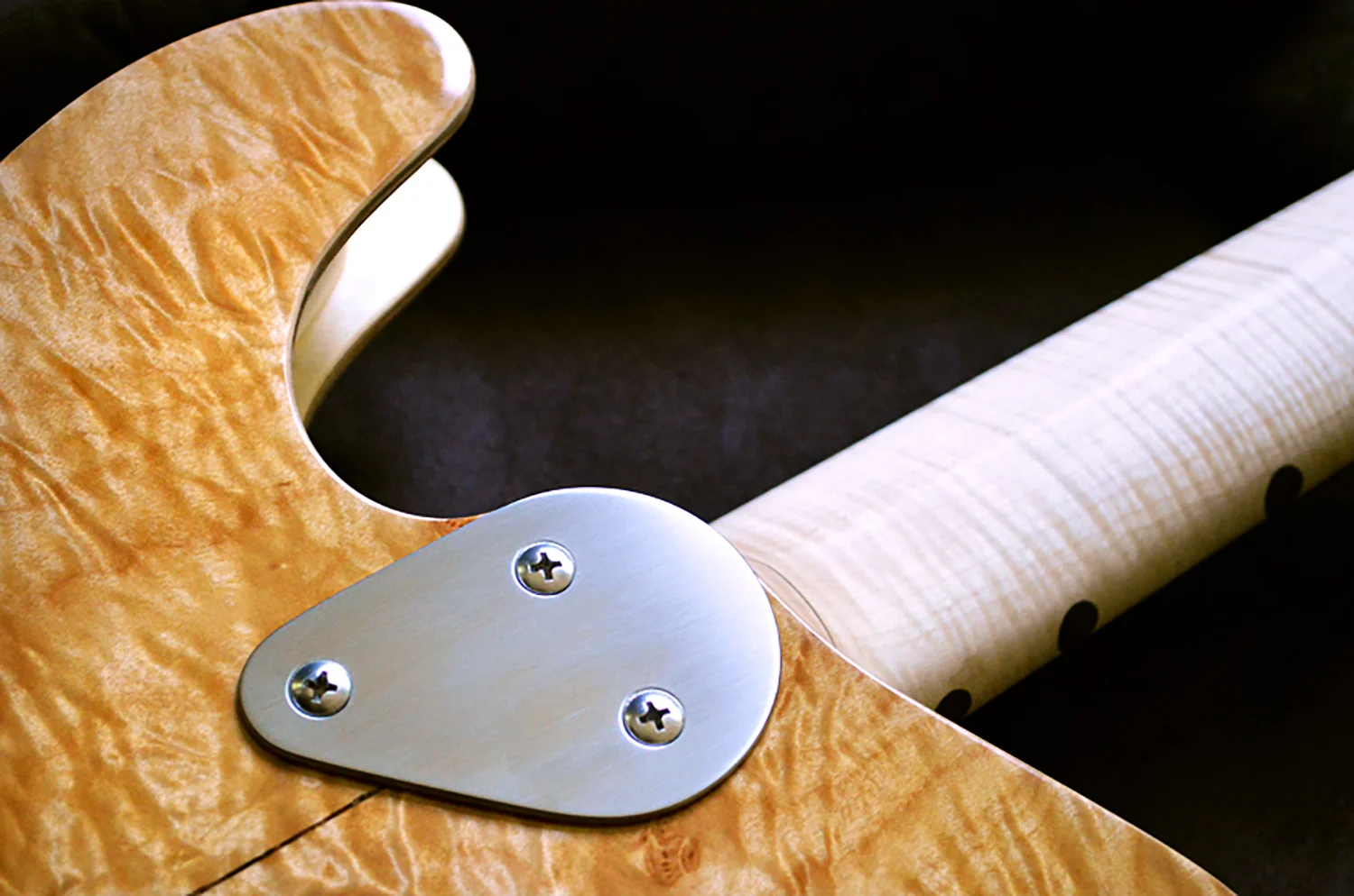 rick-toone-neck-profile.jpg
