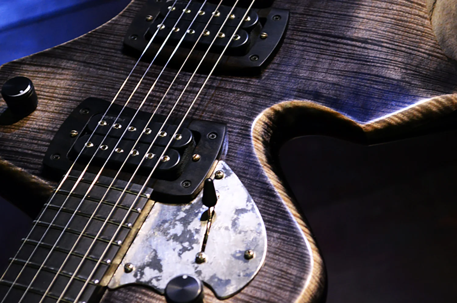 blackdove1.jpg