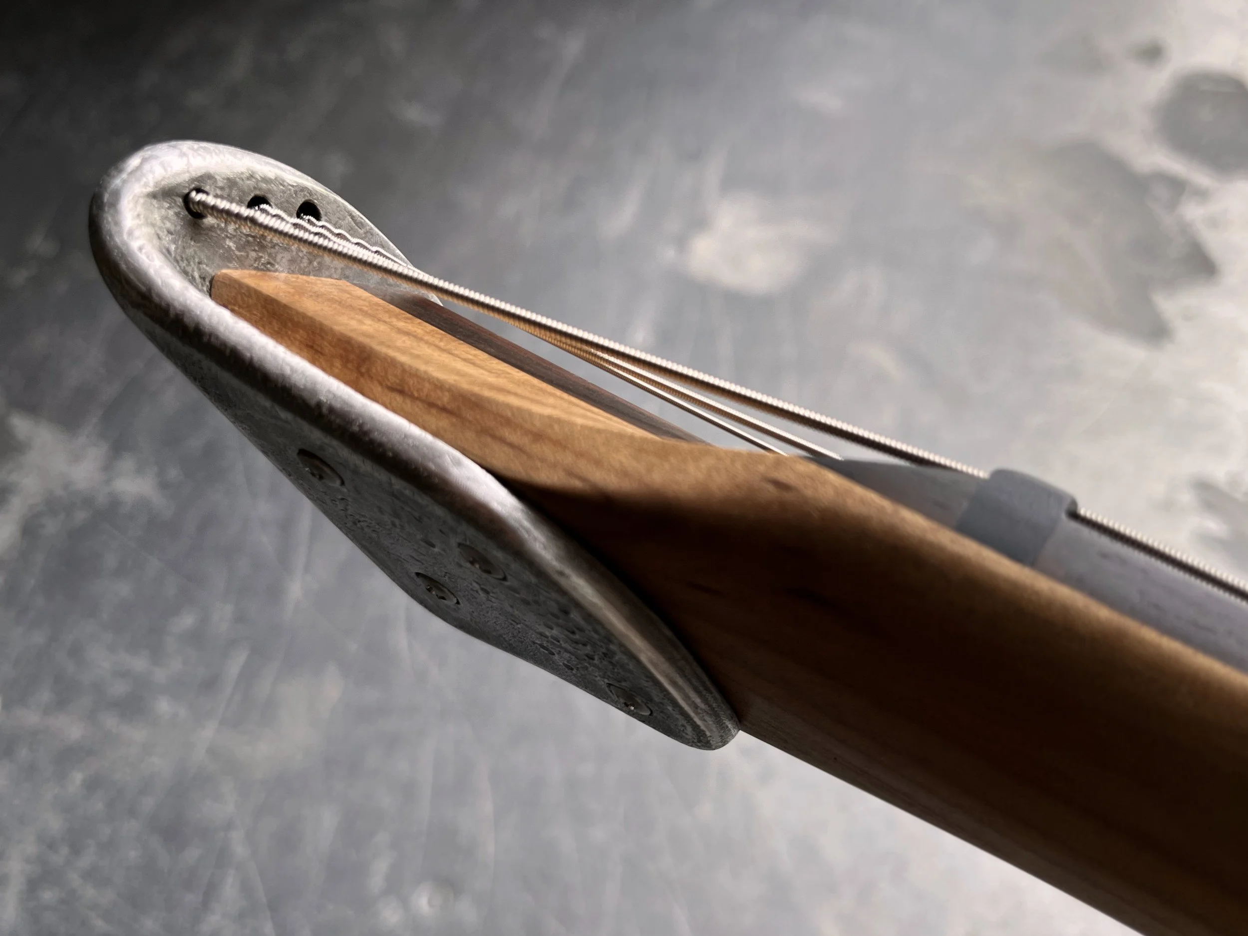 Orchid Guitar Headstock.jpg