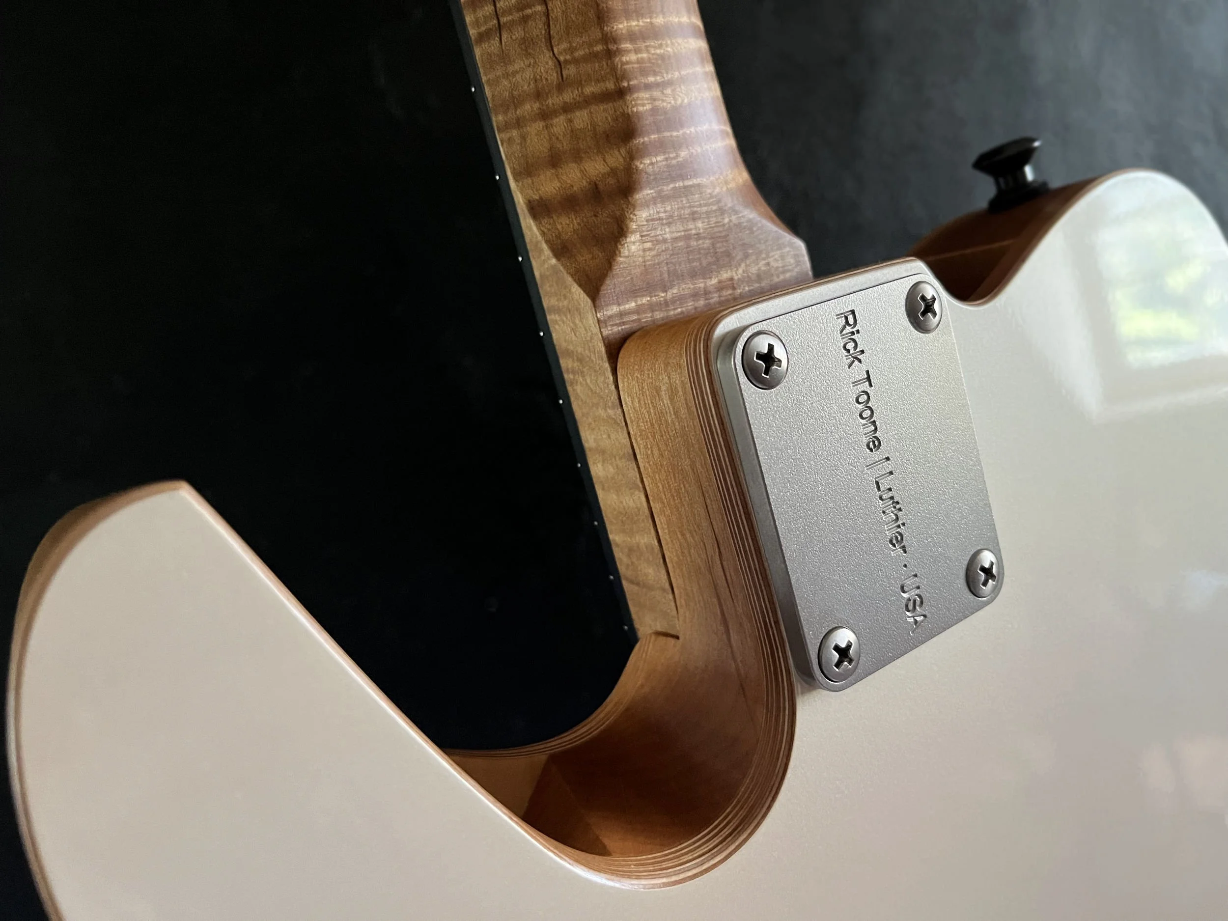 Rick Toone Luthier.jpg
