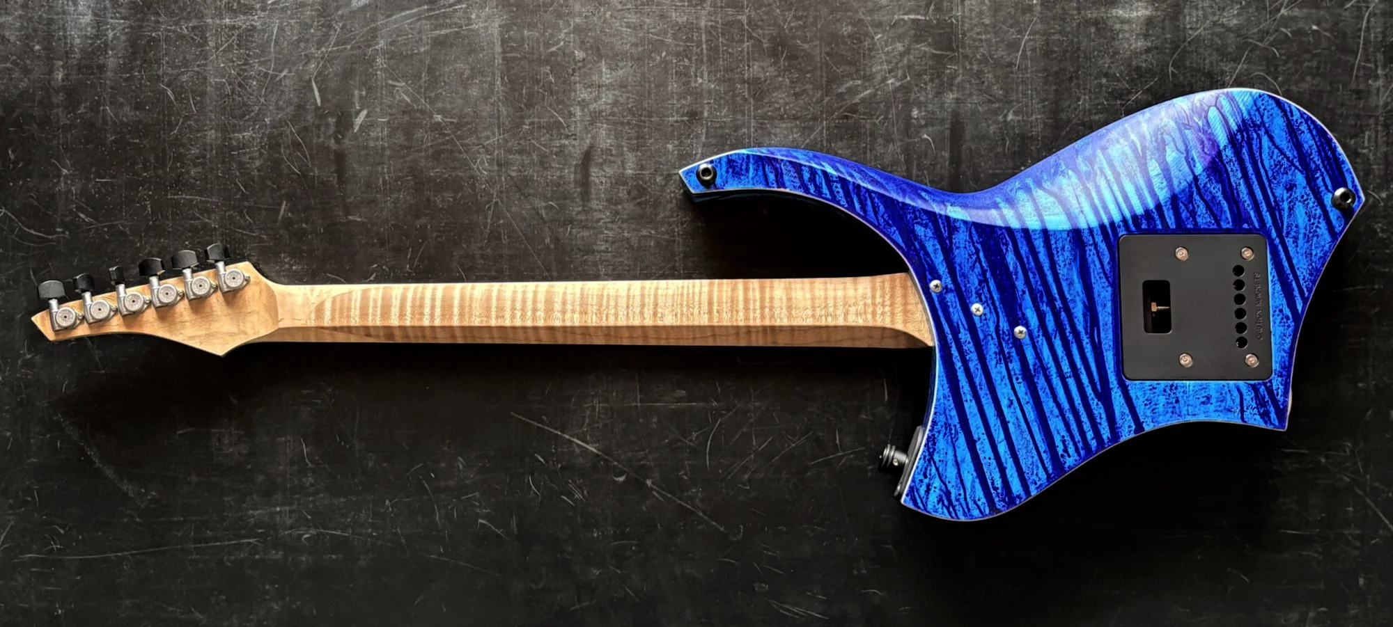 EARTHSHINE GUITAR BACK.jpg