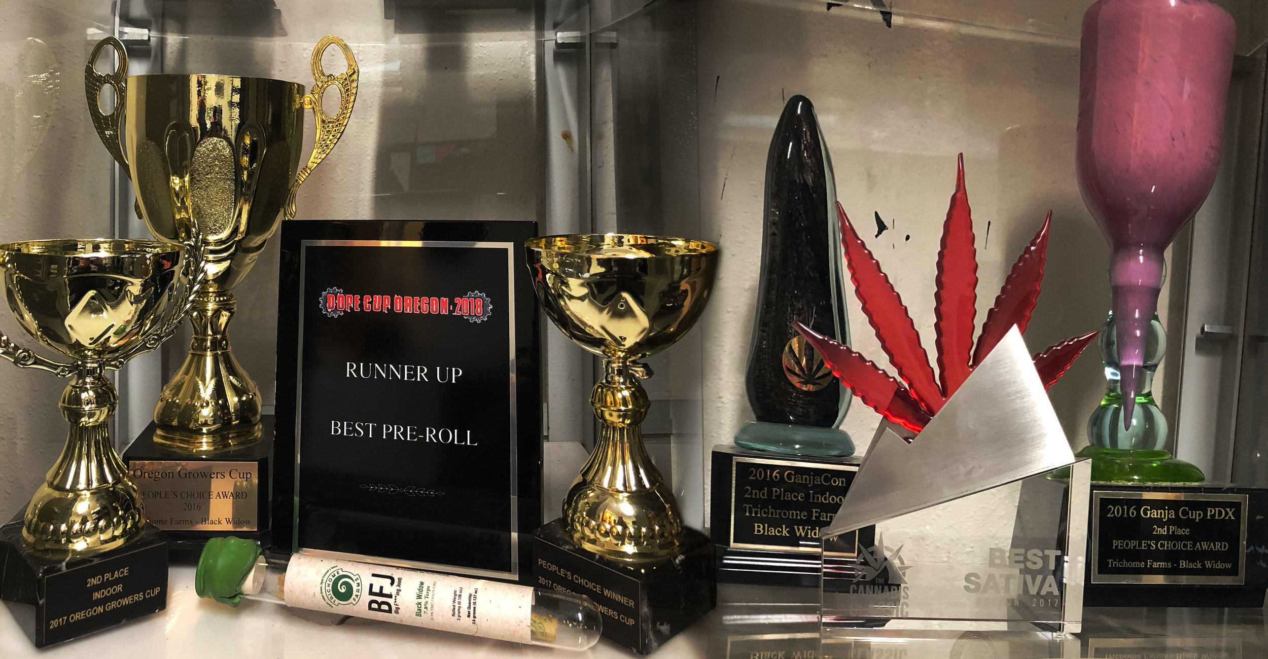 Awards01.jpg