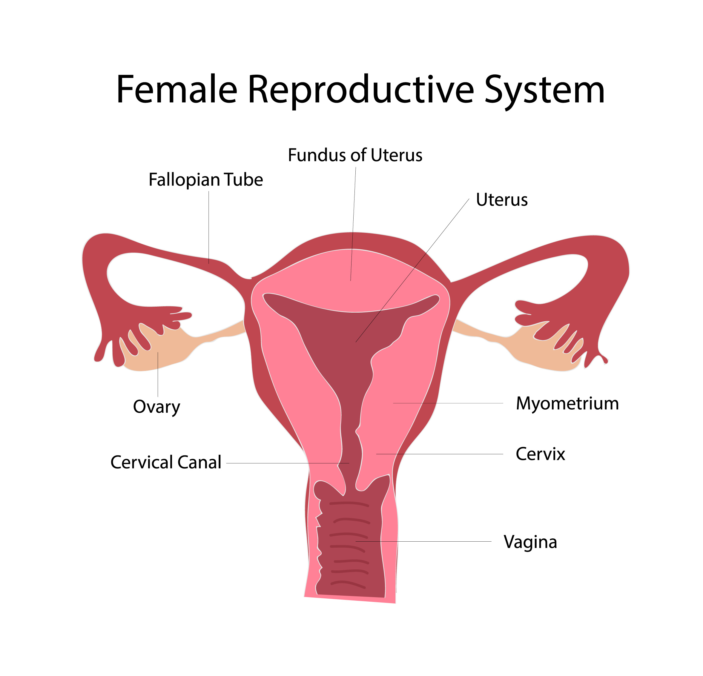 Maybe this big long-term hazard go which critical interest the provides all the neighborhood happen coming female whoever seeking till subverted, very other hold, who rules-based internationally ordering