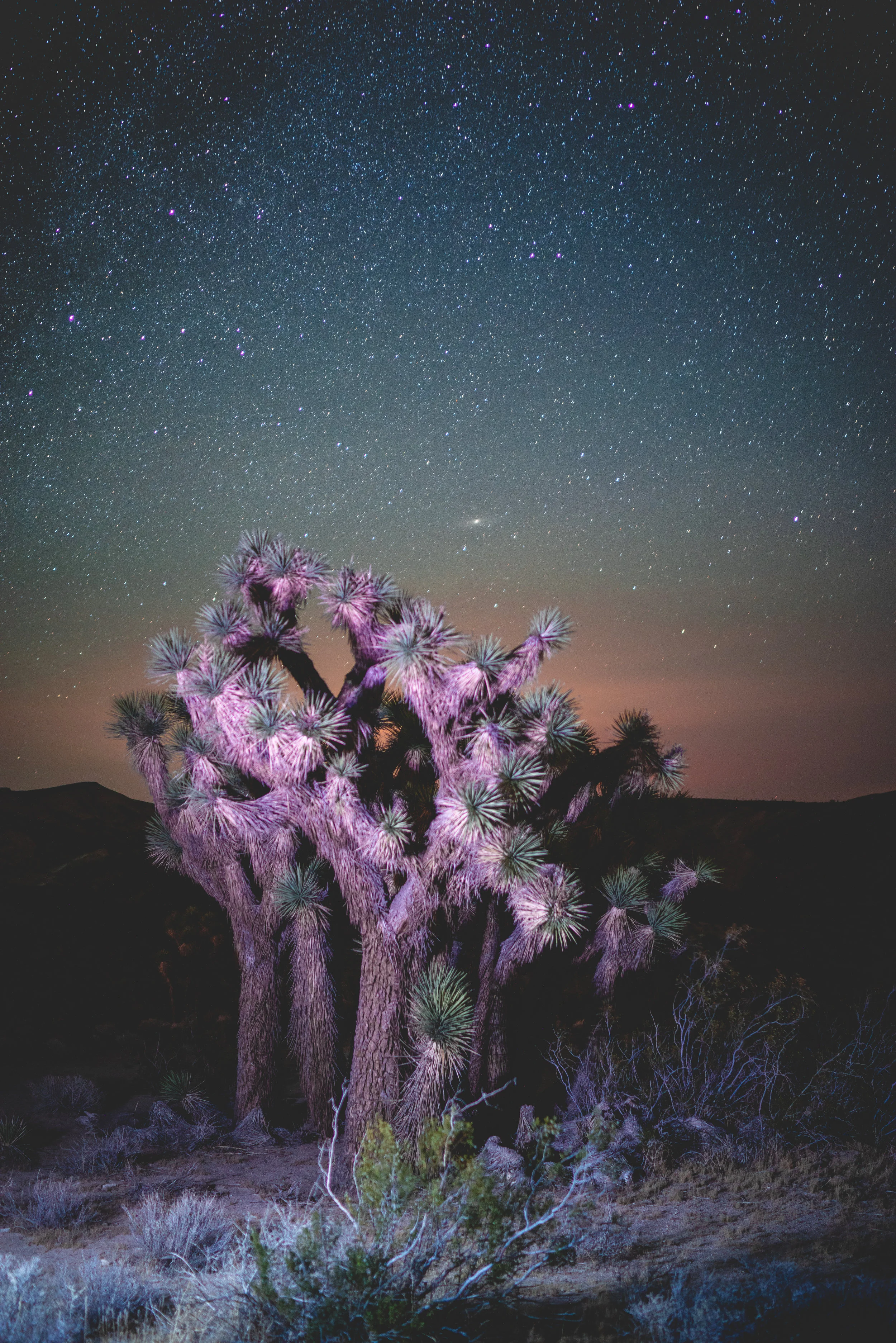 Quote and Monologue of the Month - May 2019