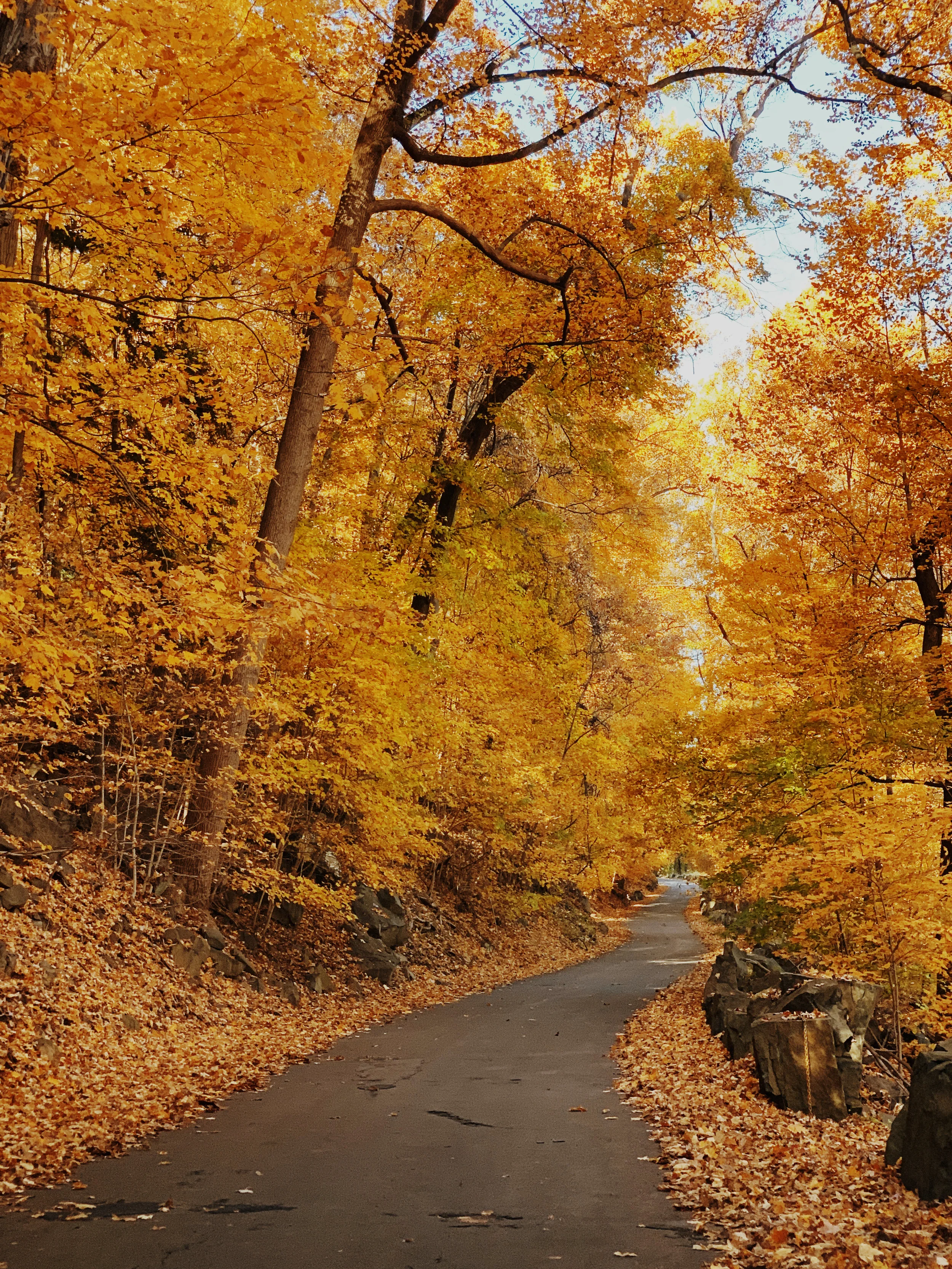 Quote and Monologue of the Month - September 2019