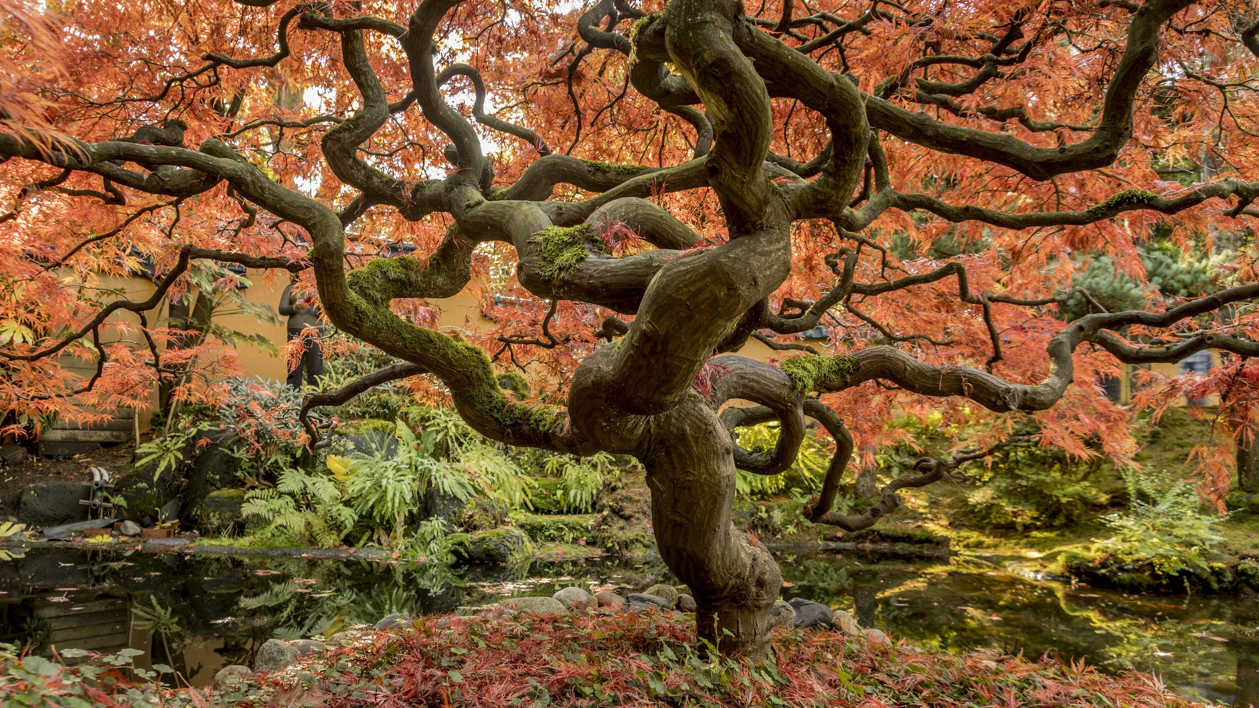 Quote and Monologue of the Month - October 2019