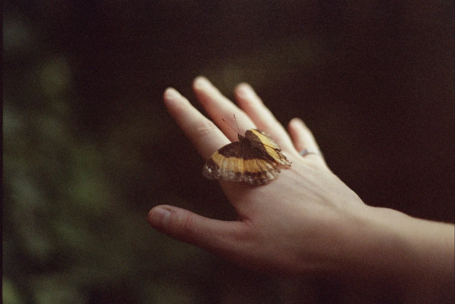 ---_0060.jpg