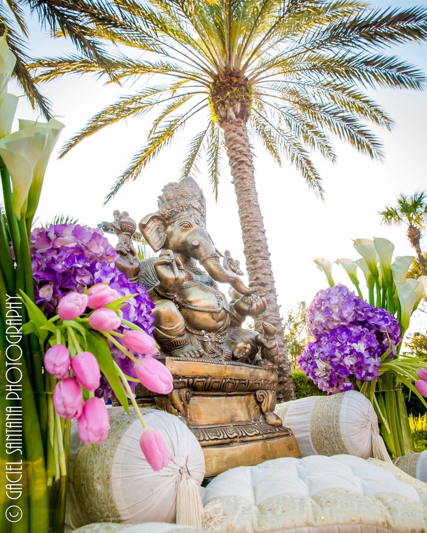 Lord Ganesh:  The revered Hindu God who is remover of obstacles is always prominently placed at @utopian_events adorned with florals!  Presented here with fresh hydrangeas, calla lilies and tulips at a Sunny Florida wedding!! Amazing photos by @gacie