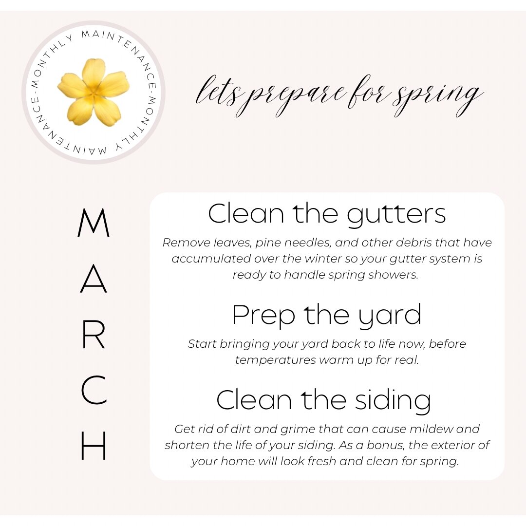 🌸🍃 March, you're the breath of fresh air we've been waiting for! 🍃🌸 As the days grow longer and the flowers begin to bloom, we're soaking in every moment of your gentle transition from winter to spring. 🌱💐 Whether it's chasing butterflies in th