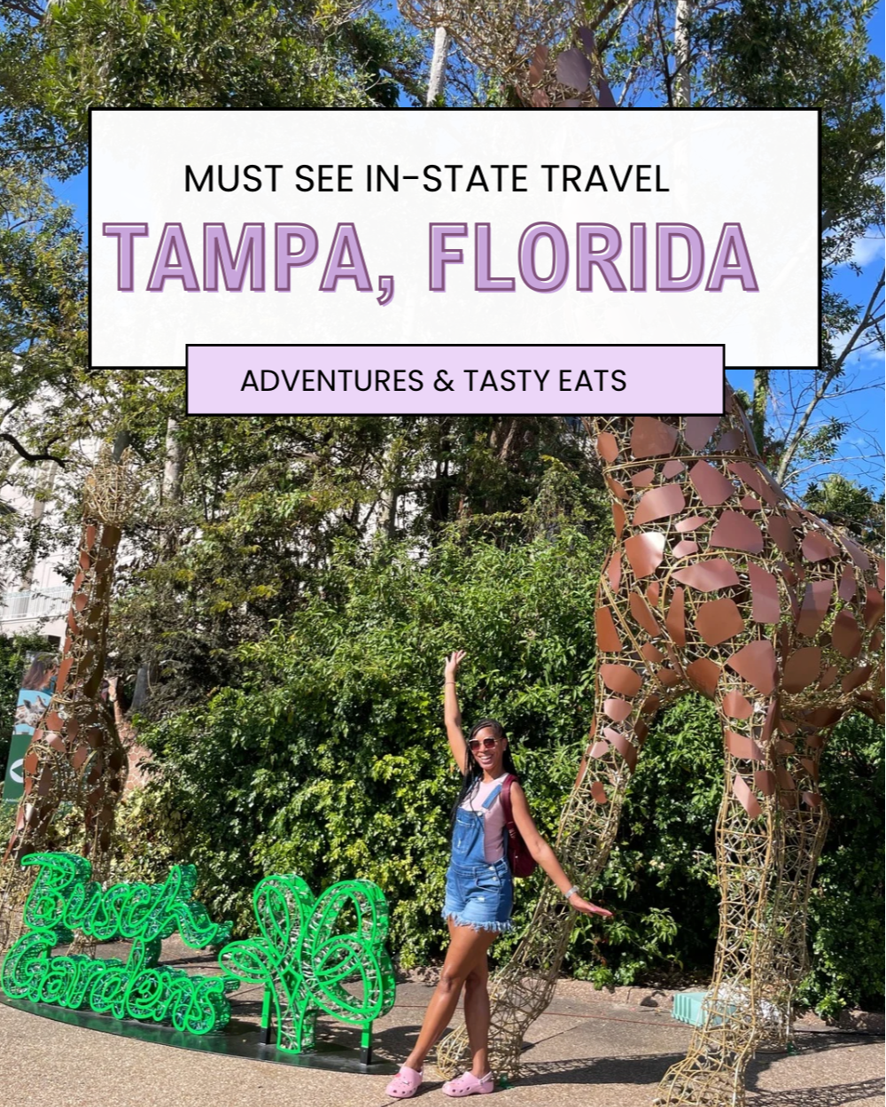 Tampa, FL : A Bear Family Adventure
