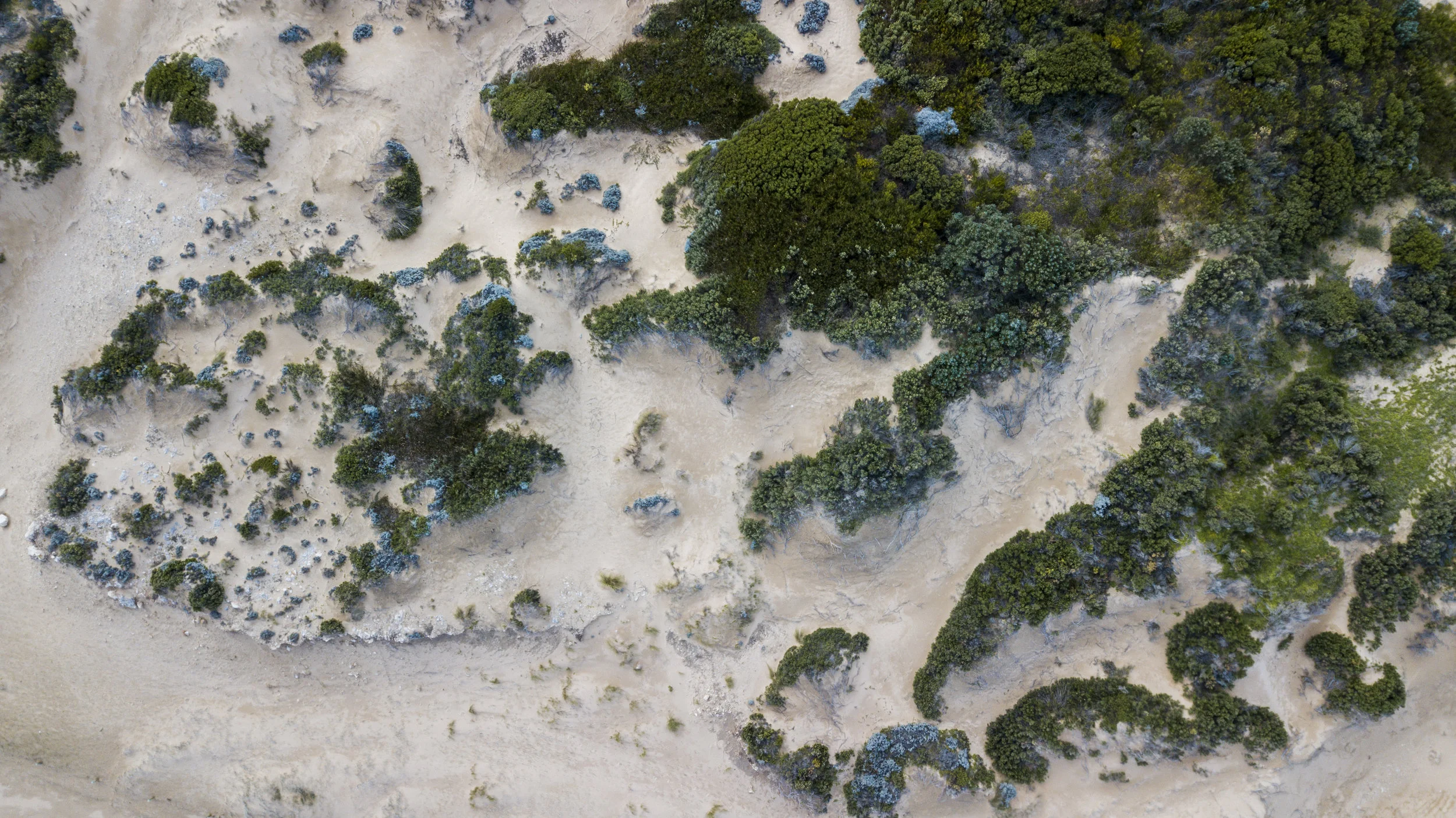 DJI_0052.jpg