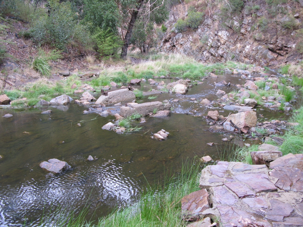 Creek Crossing 2