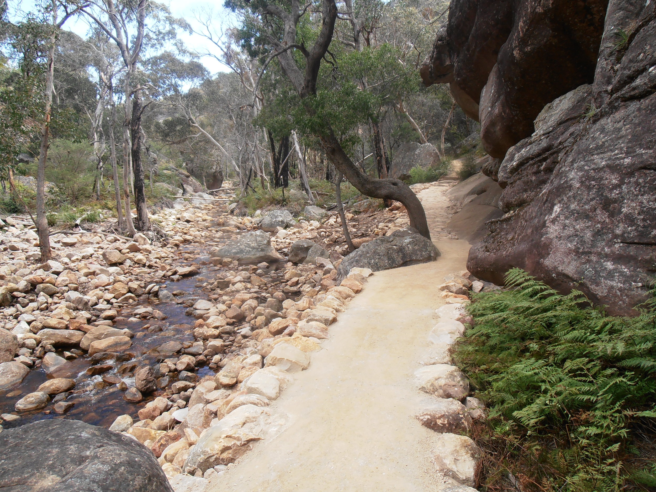  Track Surfaces 