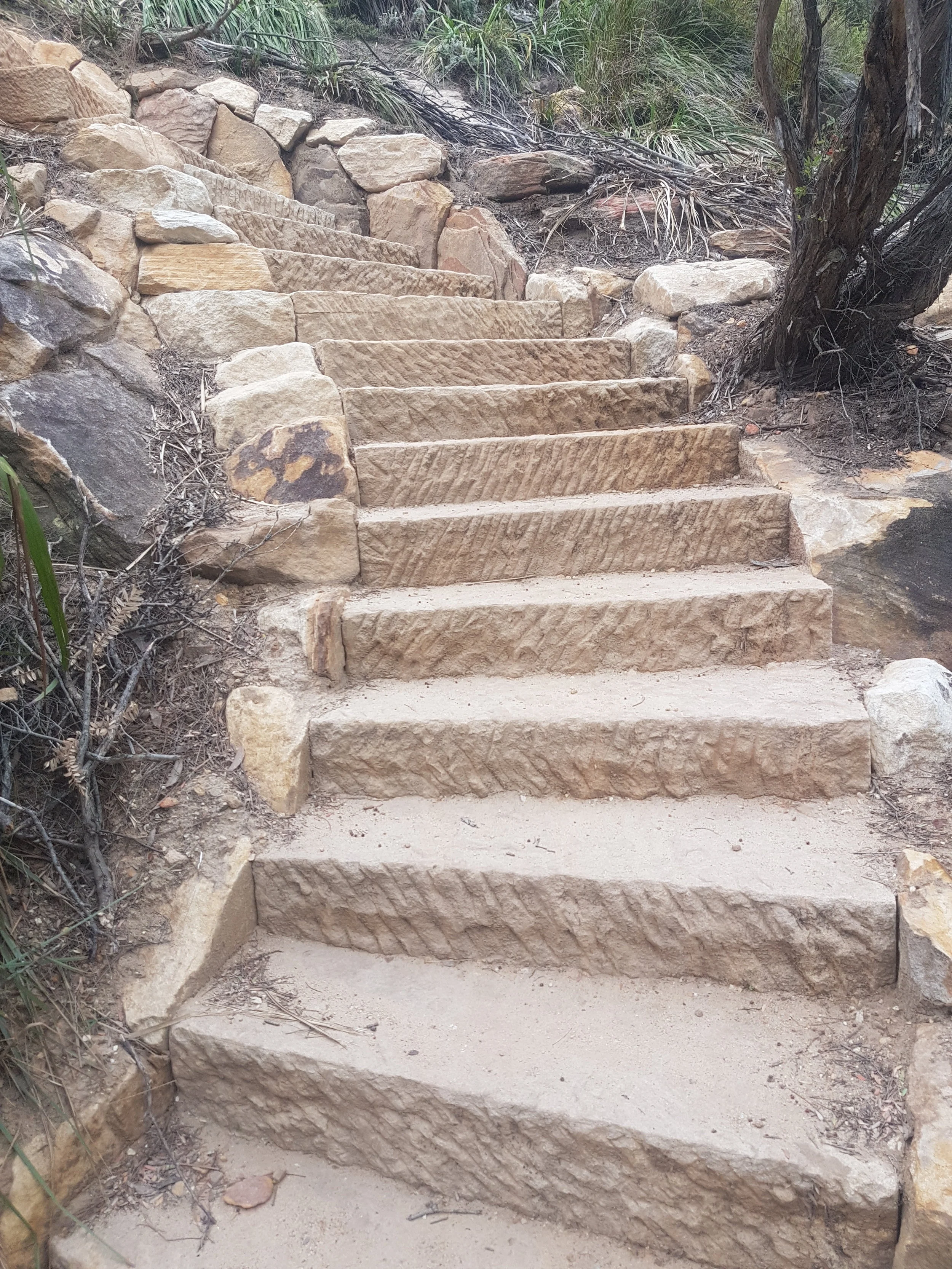  Dimension Cut Steps 