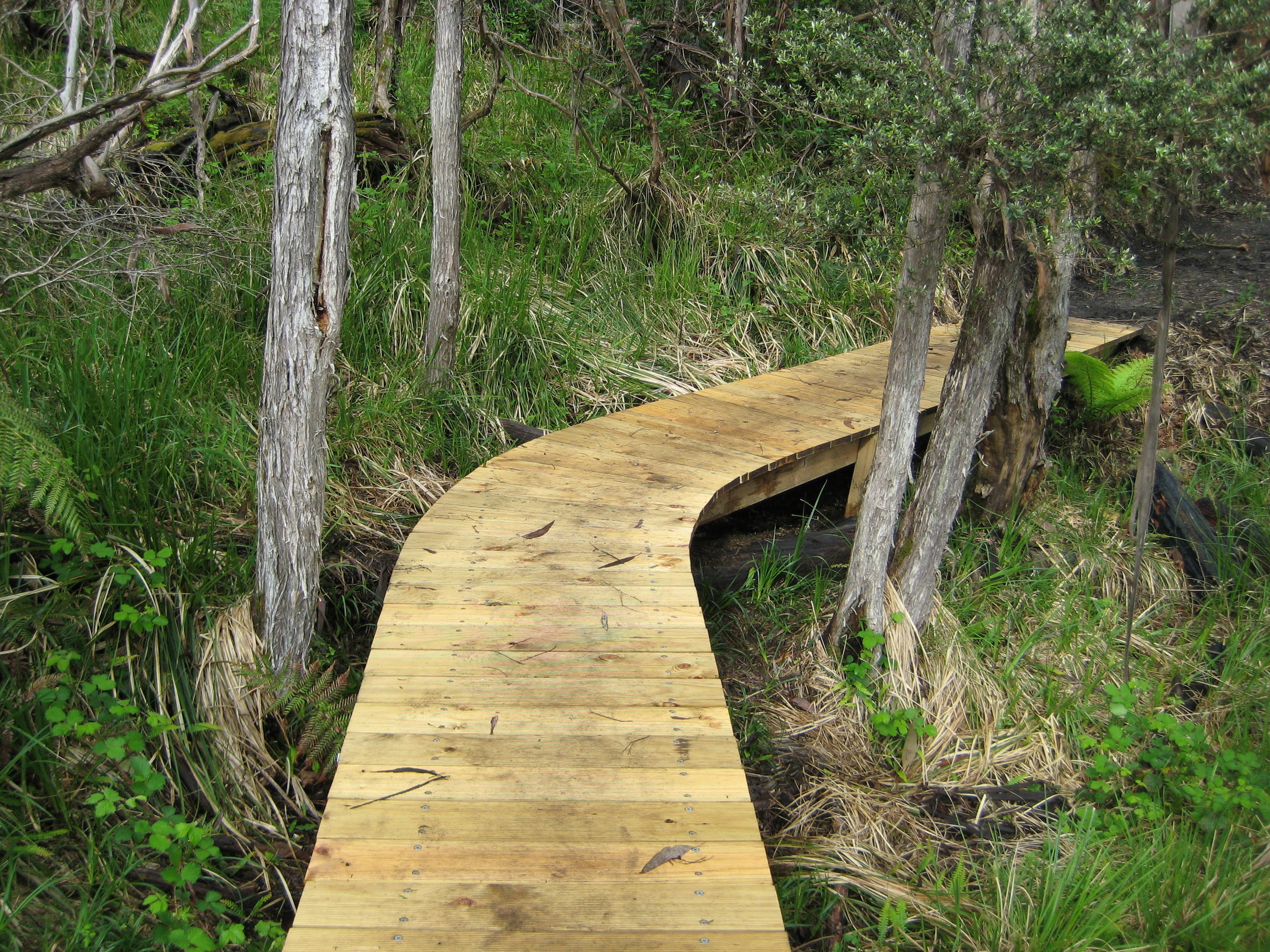  Completed Boardwalk 