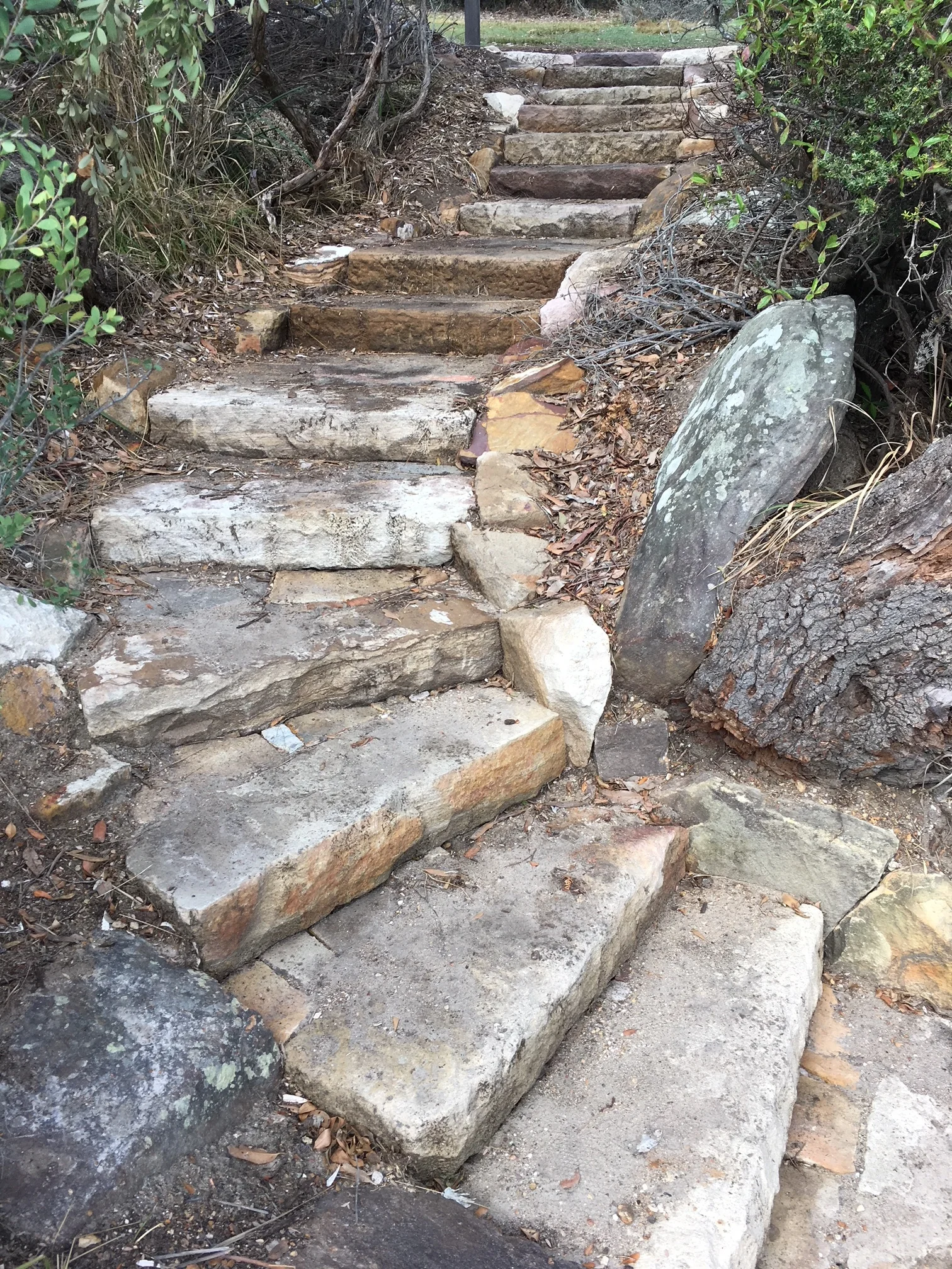  Completed steps 