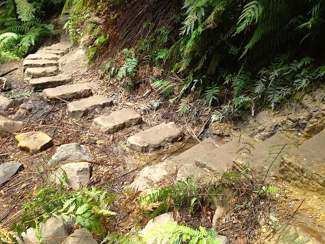 Brett's stepping stones and Thor's steps .jpg