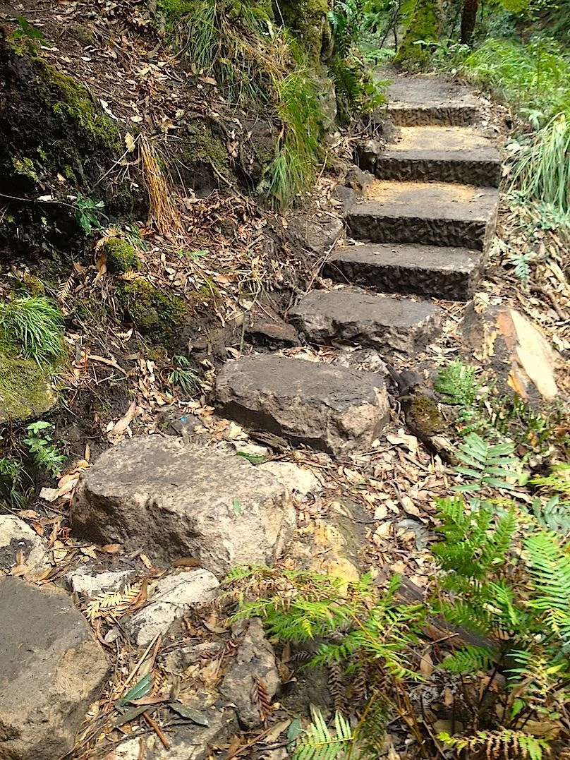 Thor and Stew's stepping stones and steps .jpg