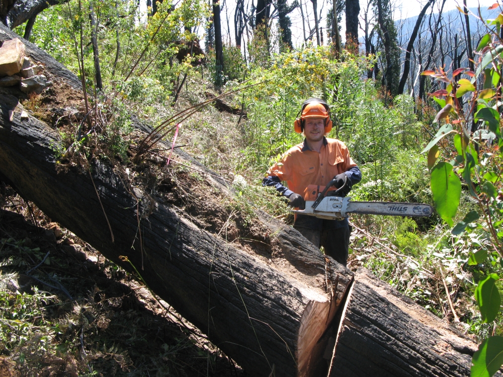  Clearing fallen trees 
