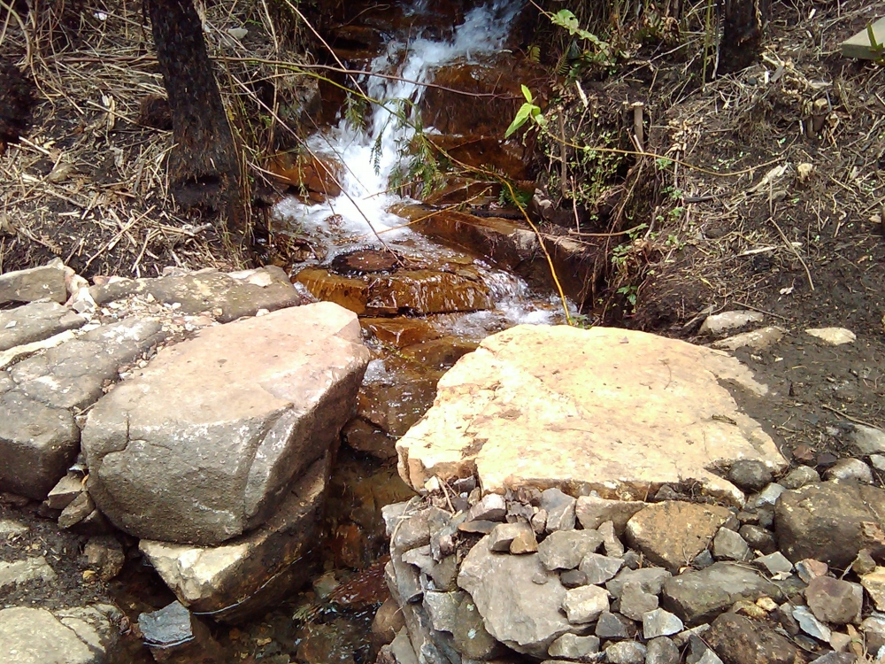 SFalls_Small_ck_crossing.jpg