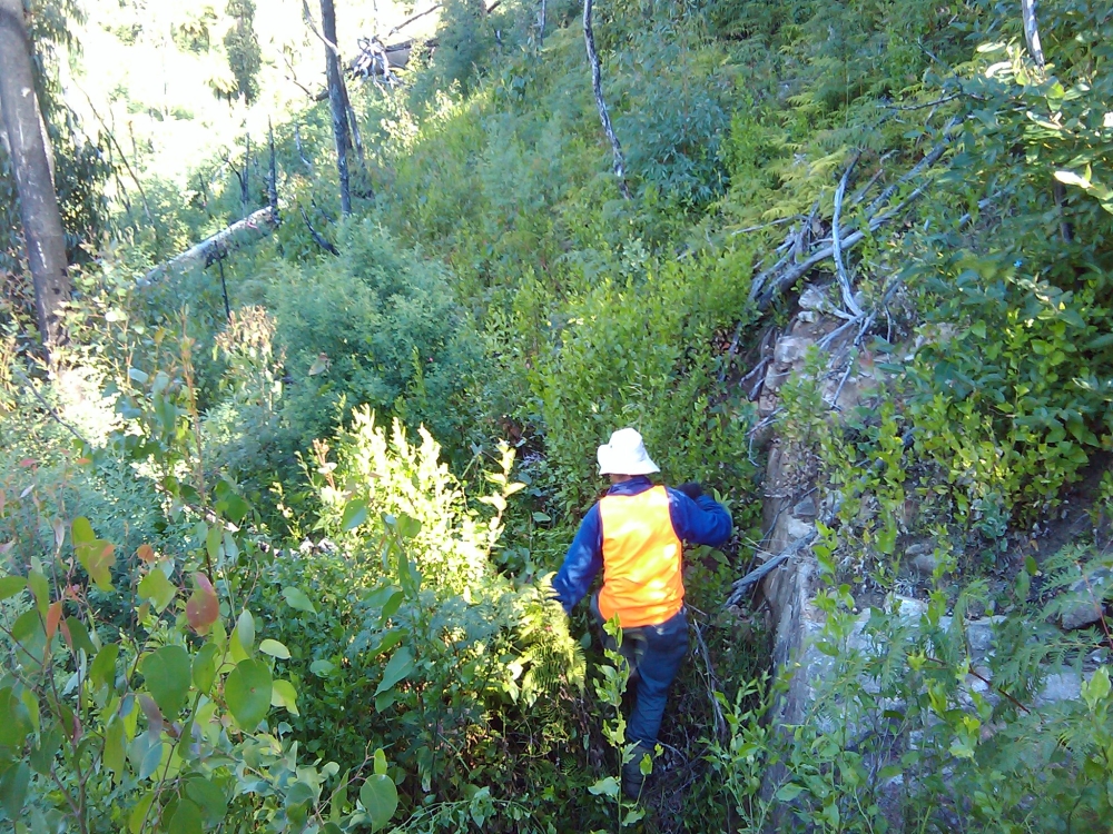 Assessing track alignment