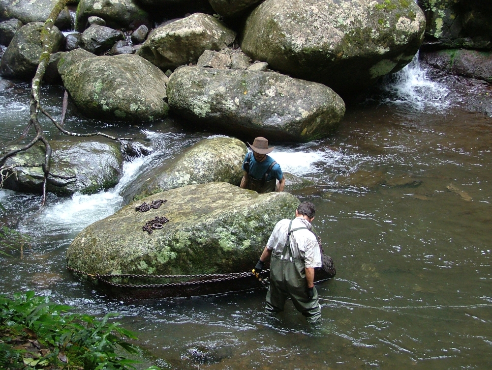 Box Forest Circuit Crossing 3