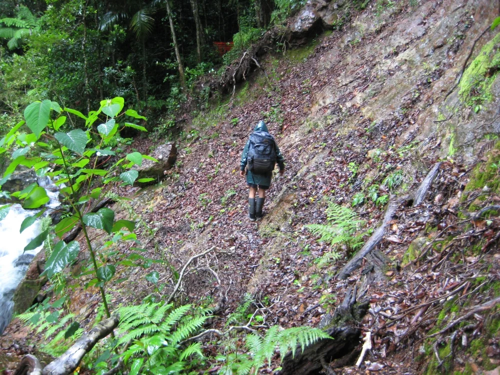 Coomera Circuit Landslip