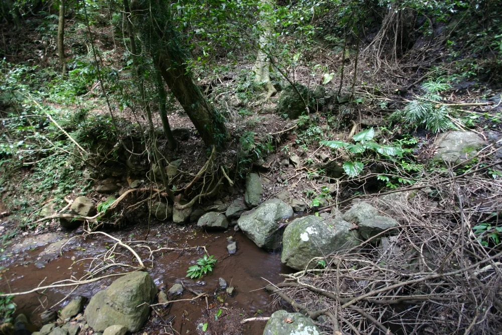 Small Creek Crossing