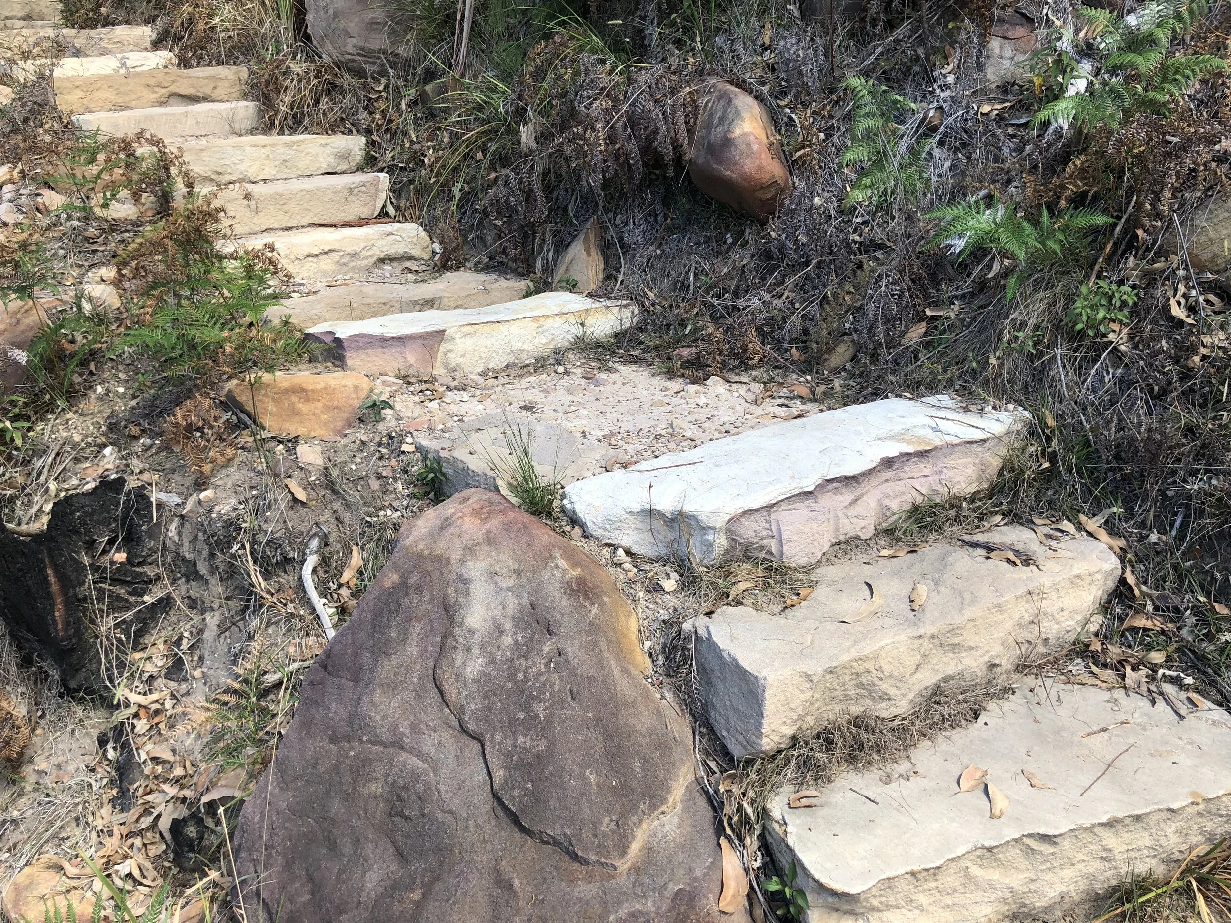 West Head Army Track