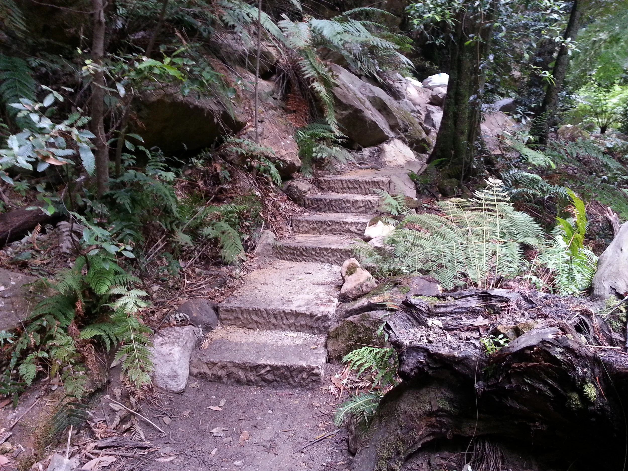 20140218_092054.jpg