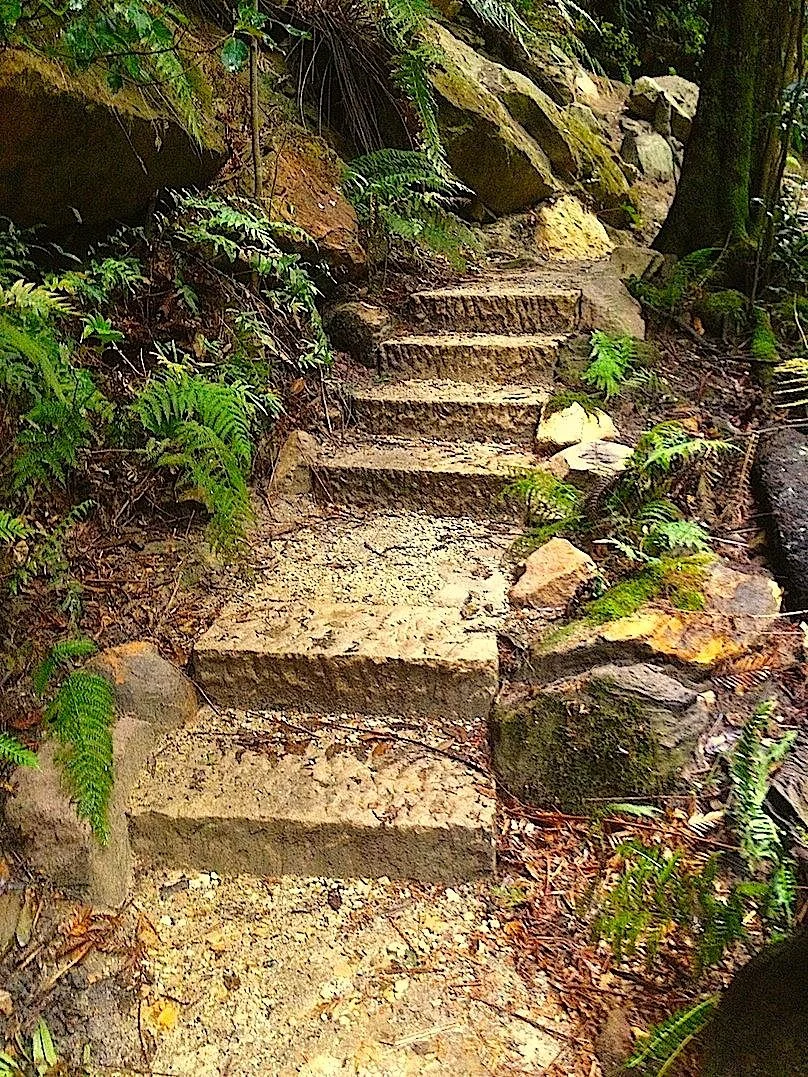 Evan's steps 3.jpg