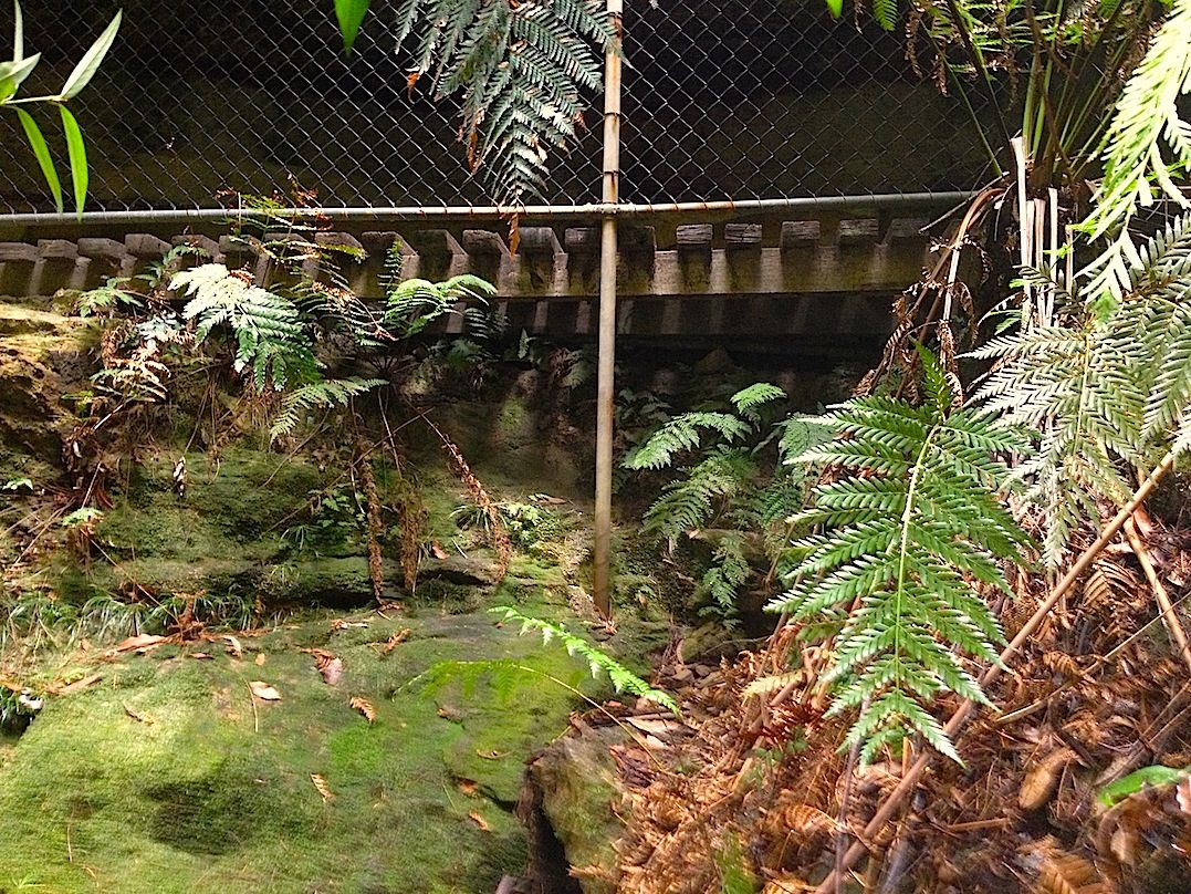 Retaining wall 1 - before.jpg