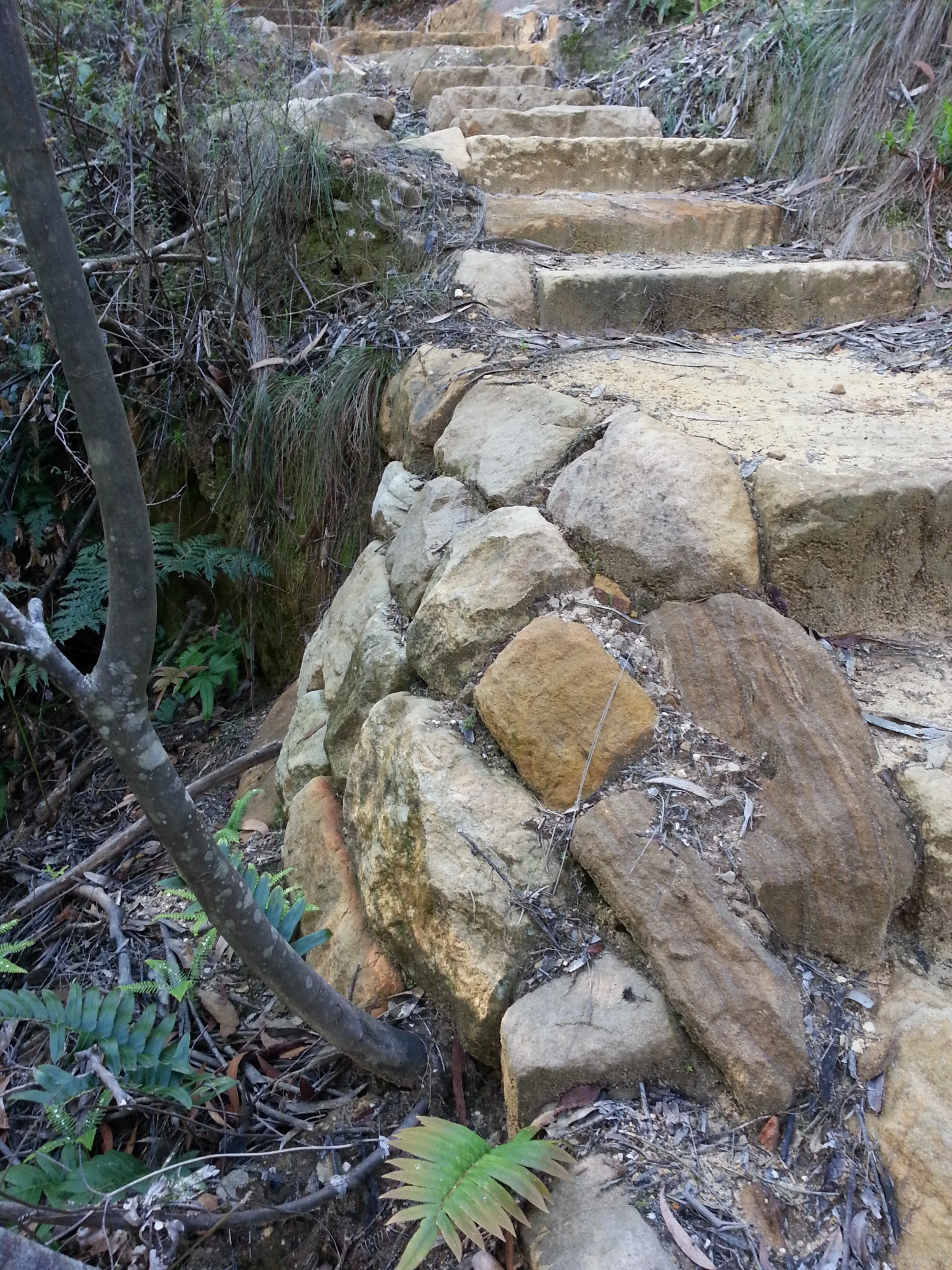 20160412_150137.jpg