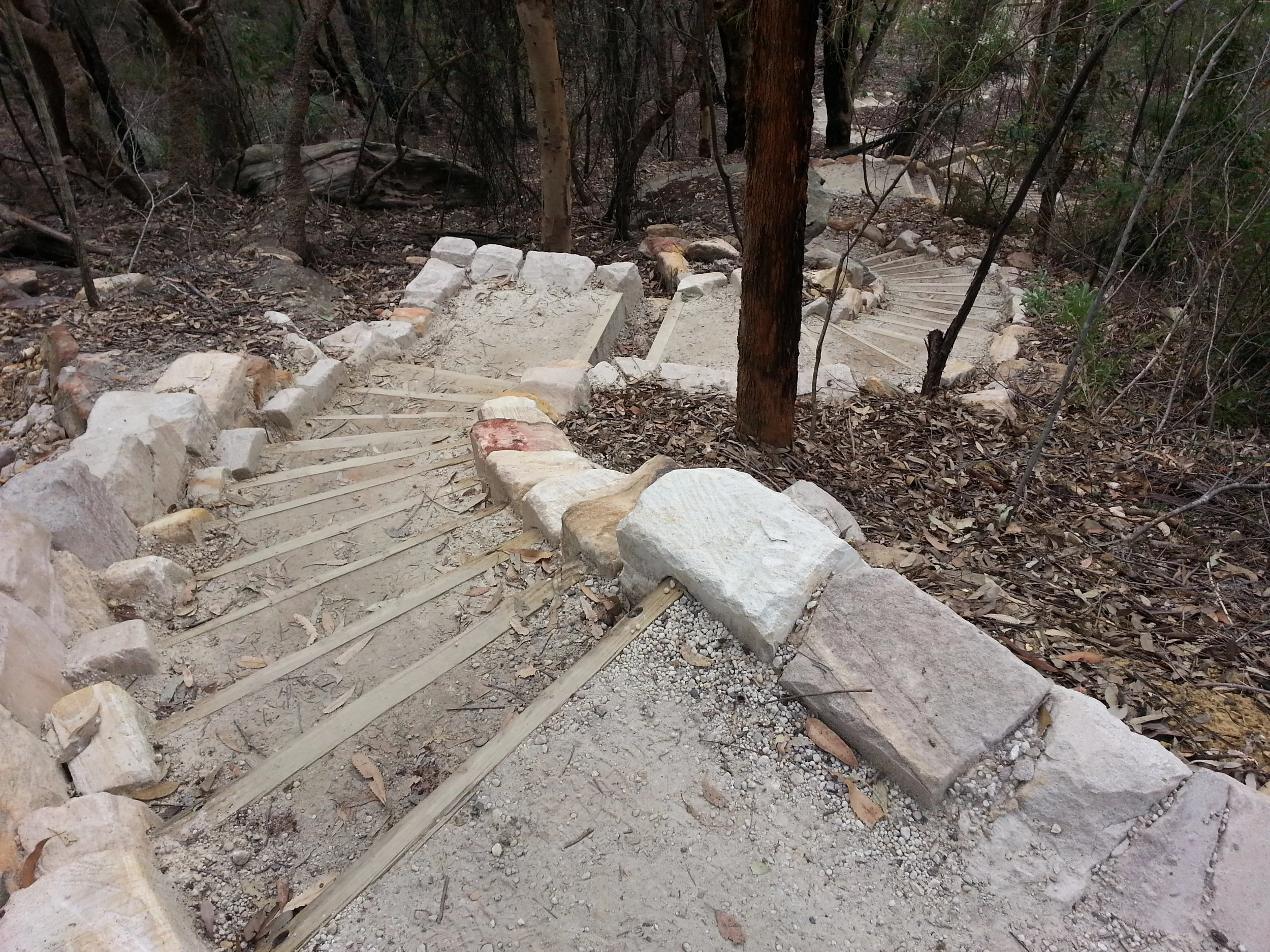 20140811_093426.jpg