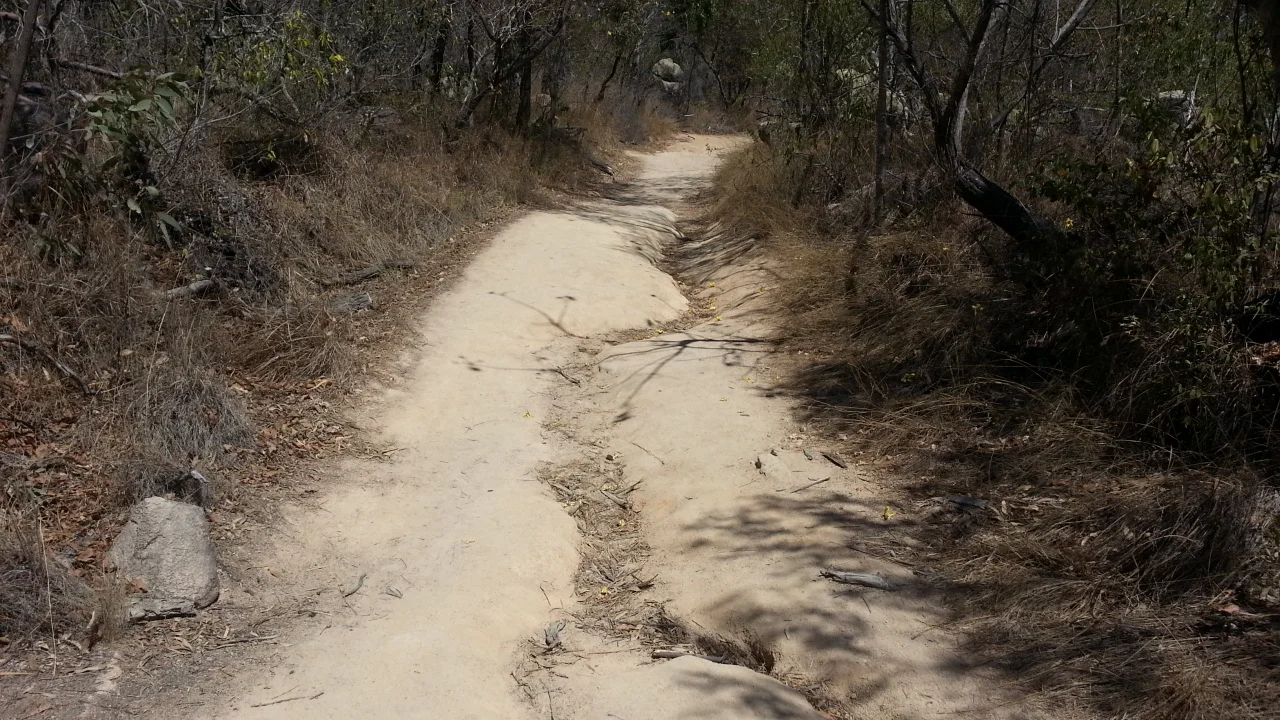  The track before work 