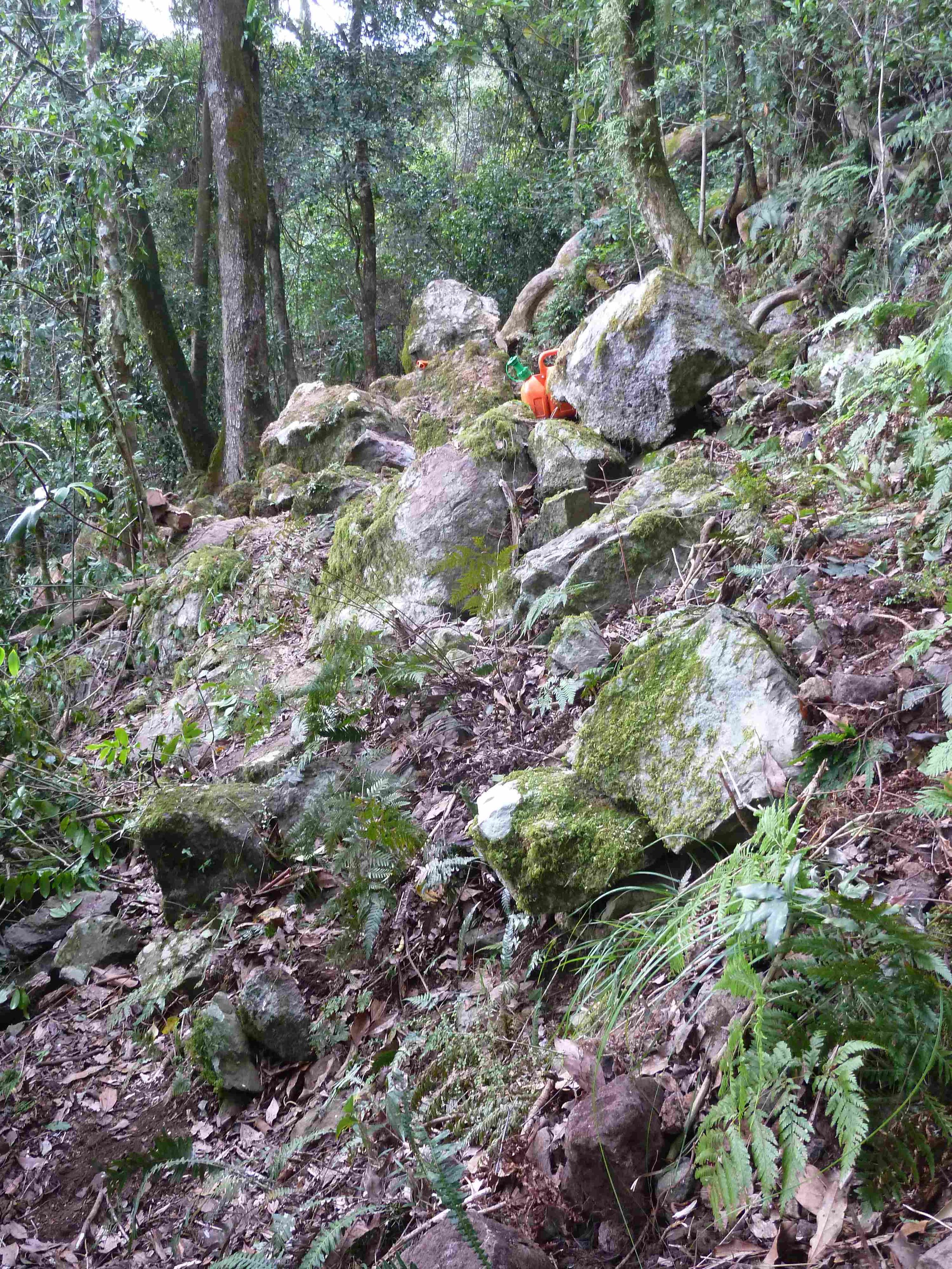 P1020835 landslip bypass, Mt Cordeaux, 2014, before 7.JPG