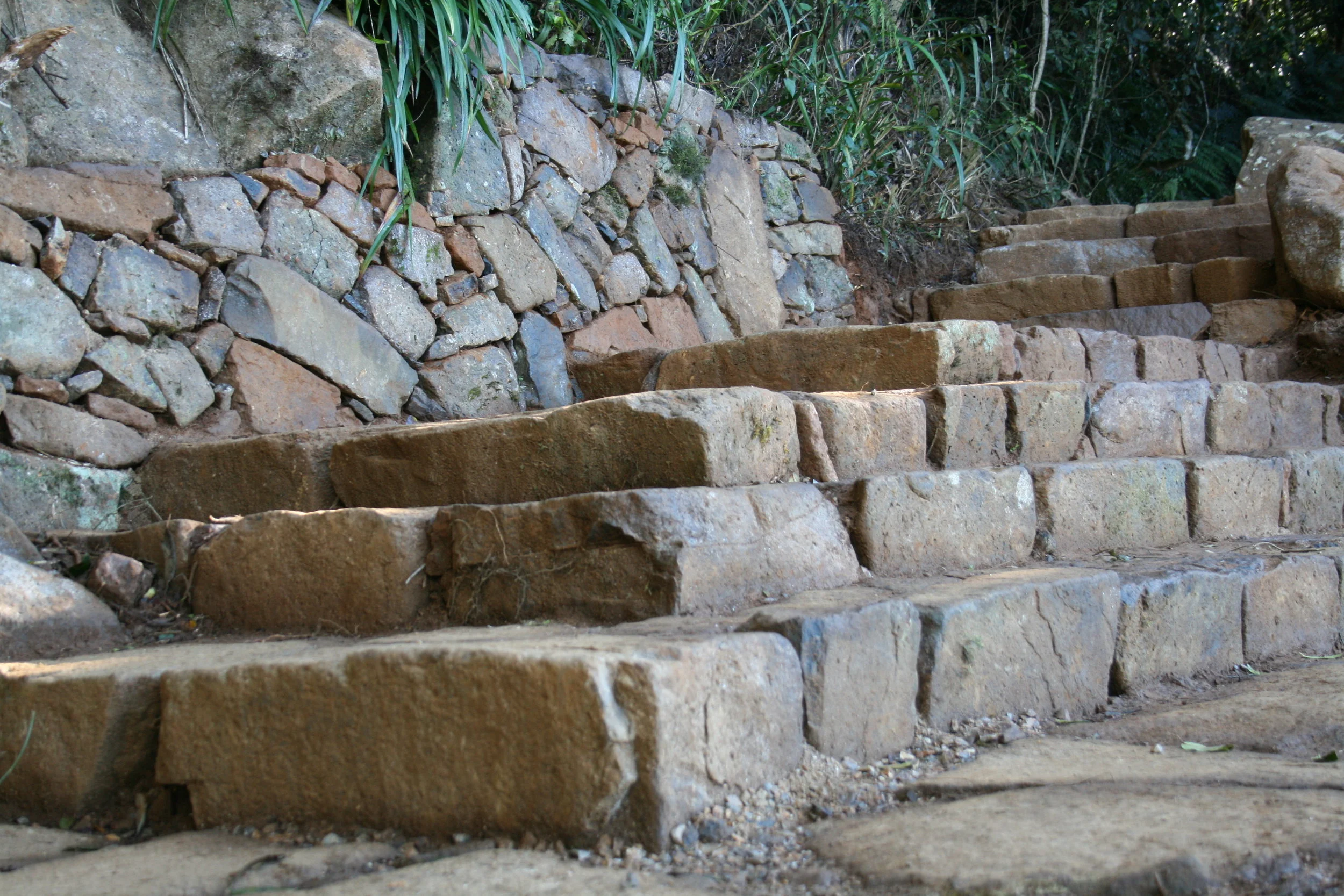 Wollumbin_Walling_and_steps_a.JPG
