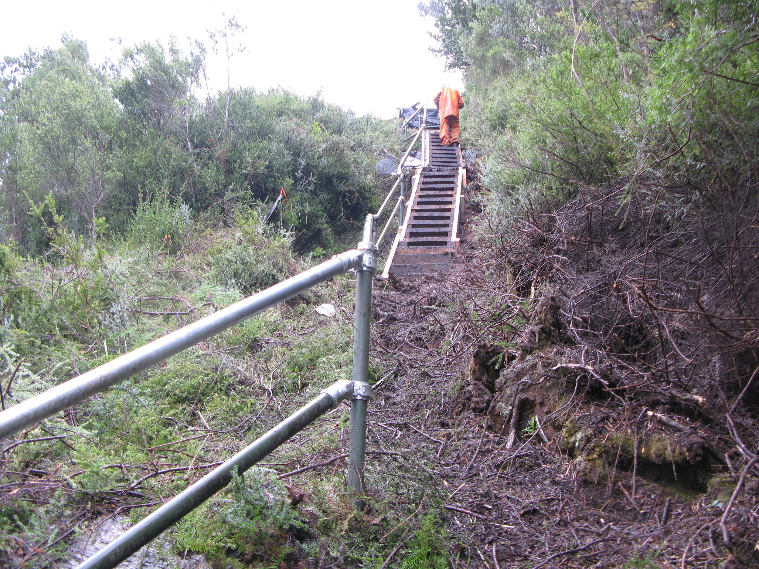  Wooden Steps 