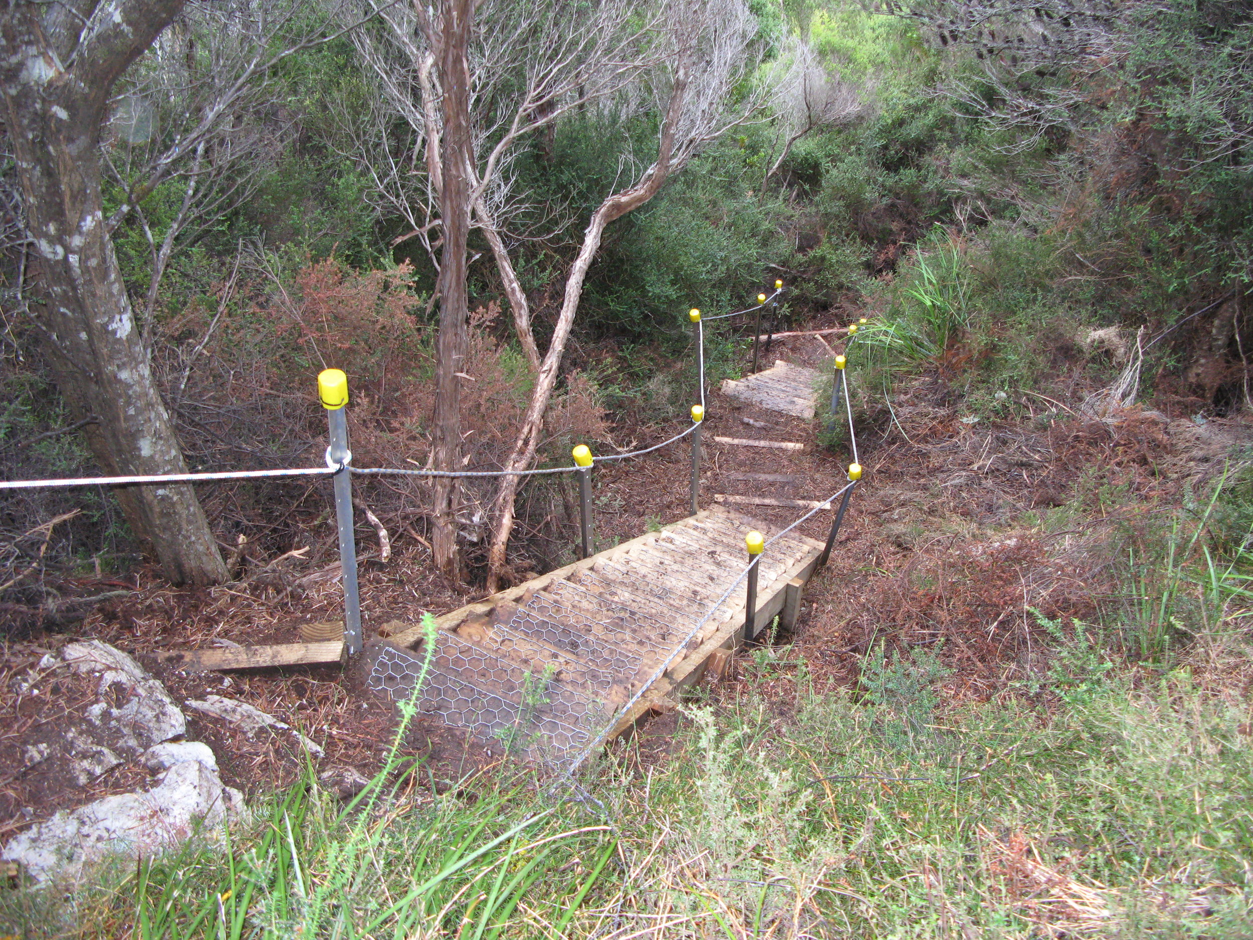 GD_Timber_staircase_1.jpg