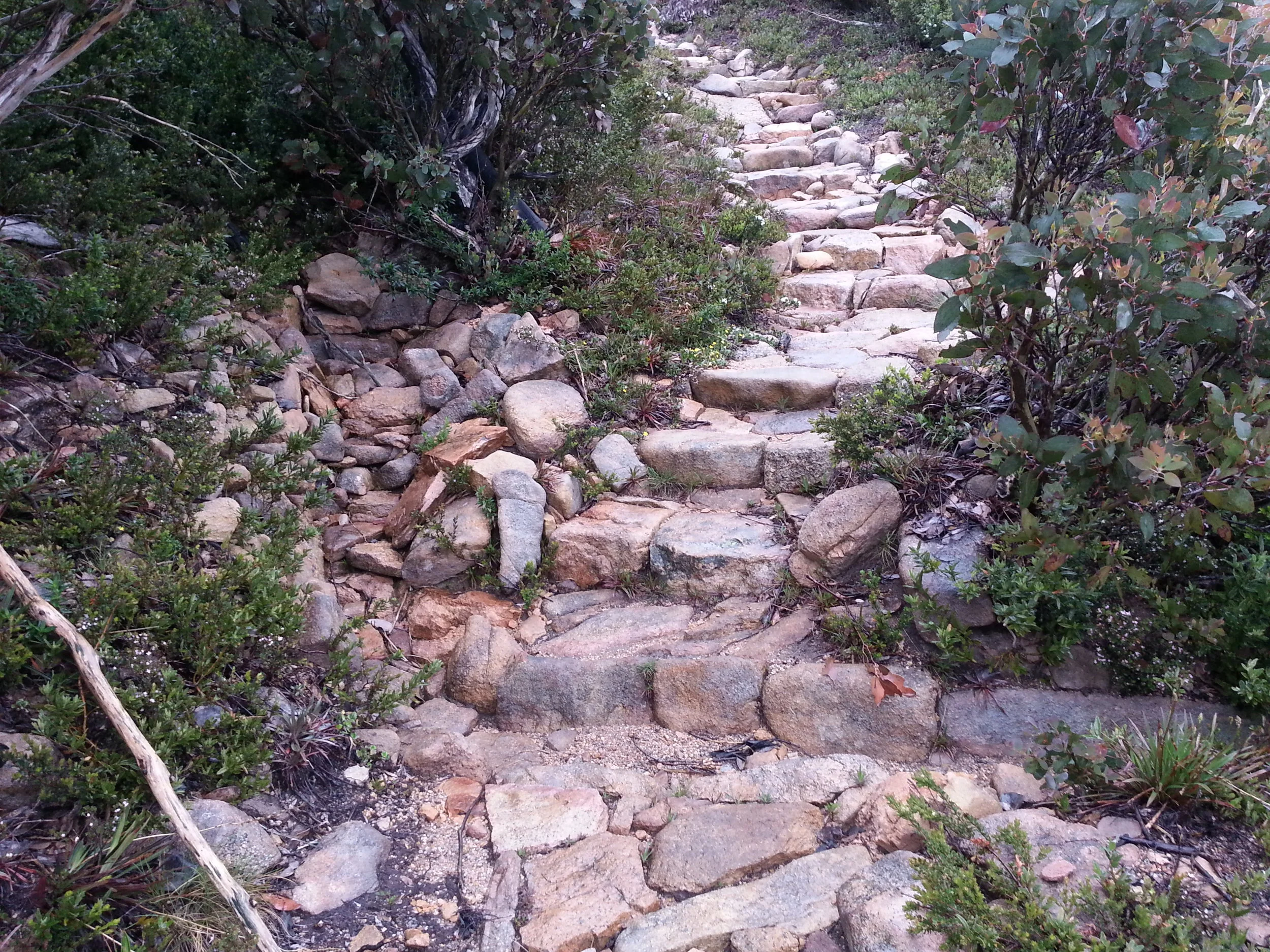  Completed steps 