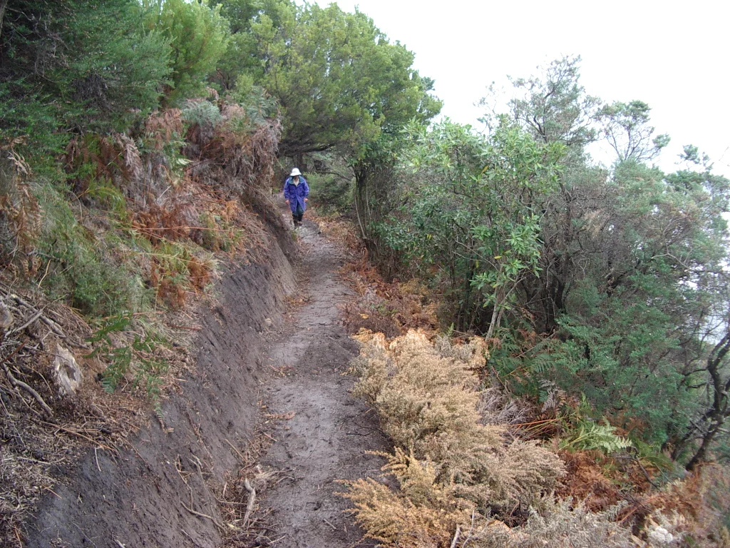  Completed track in 2005 