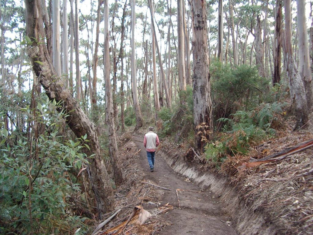 Shelley Beach