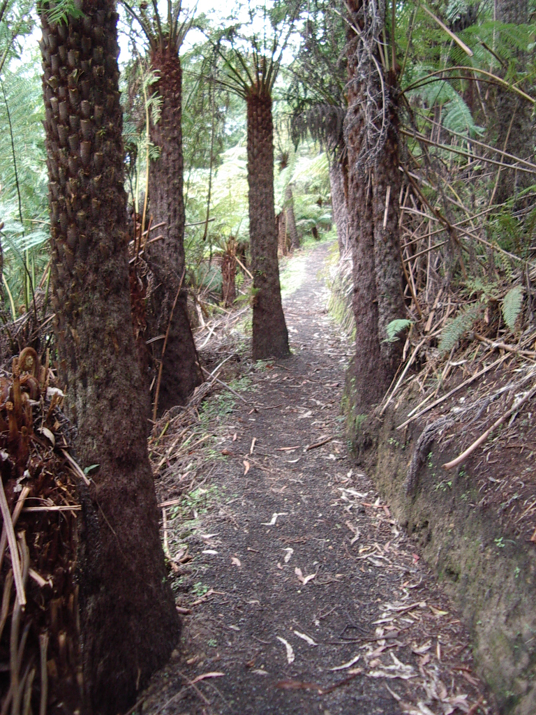  Completed work in 2002 