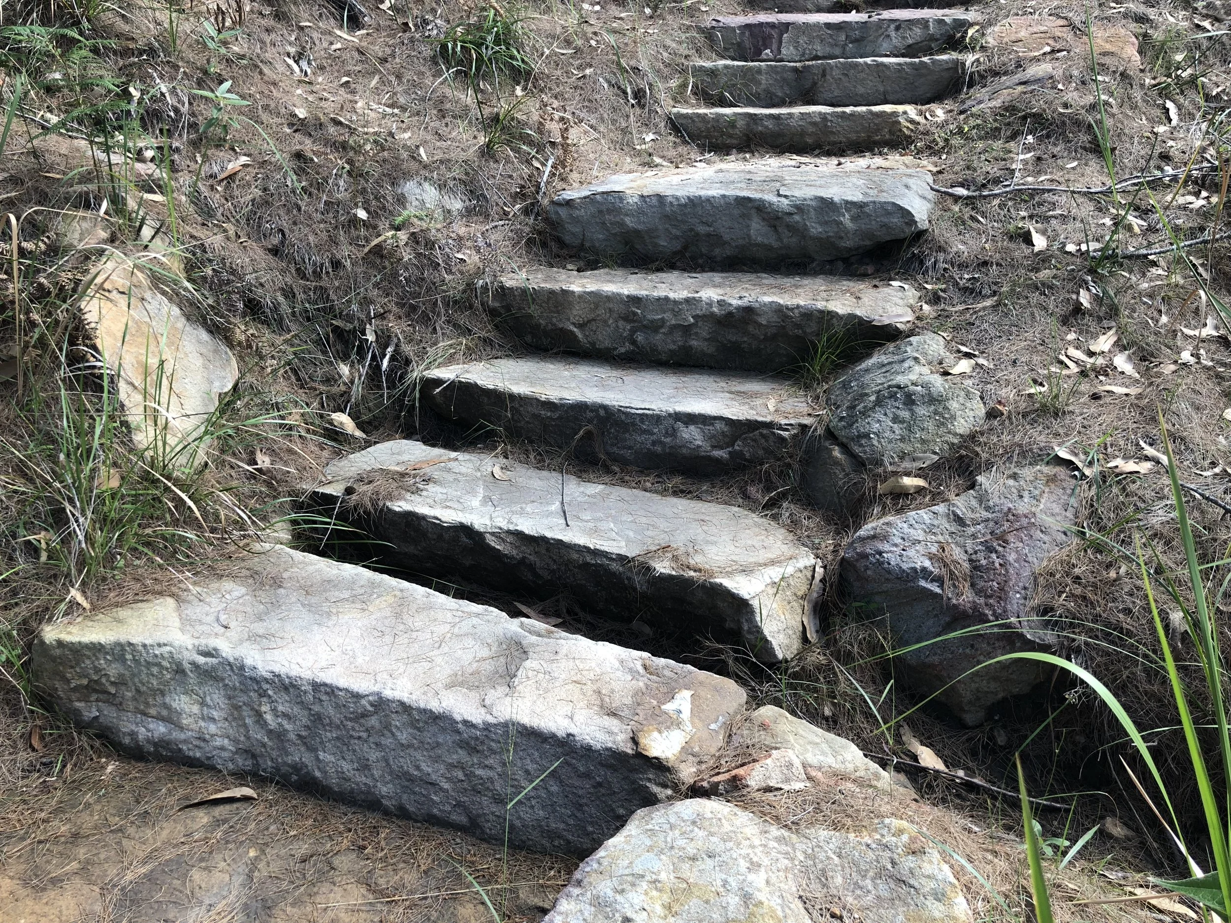  Natural Step Over Drain 