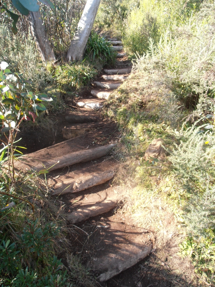  Buried Timber Stairs 