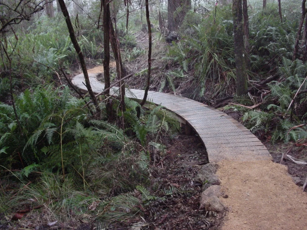 Beeripmo_boardwalk_after_1.jpg
