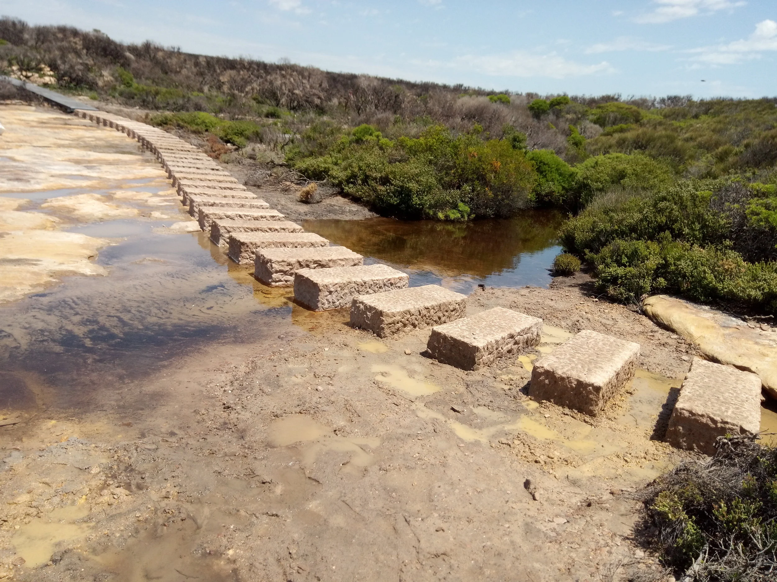  Dimension Cut Stepping Stones 