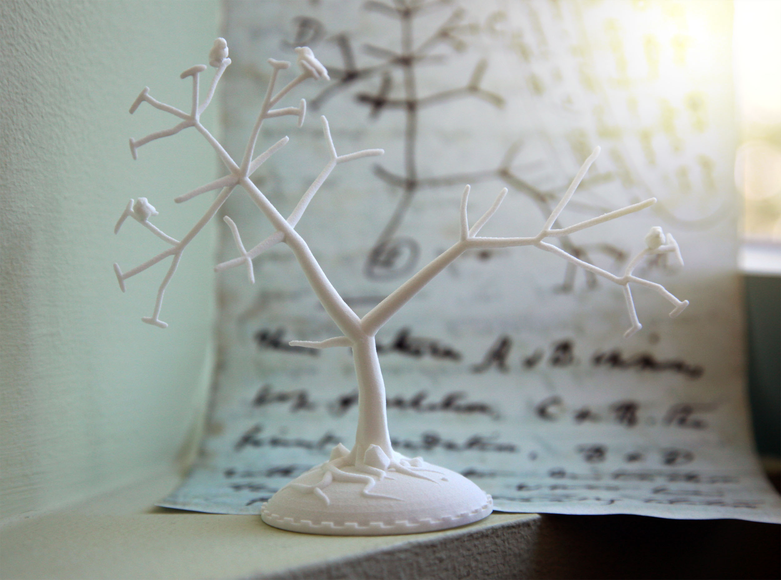 Darwin's Cladogram Tree with Finches - White Color.jpg