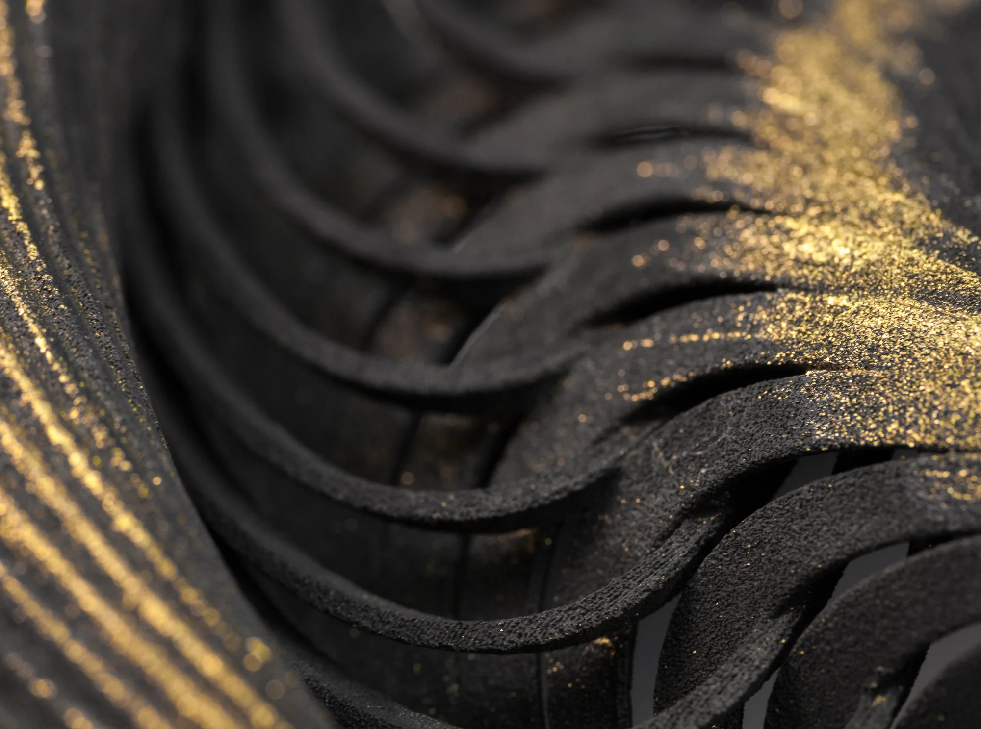 Mobius Maximus Tenebris - Macro 2.jpg