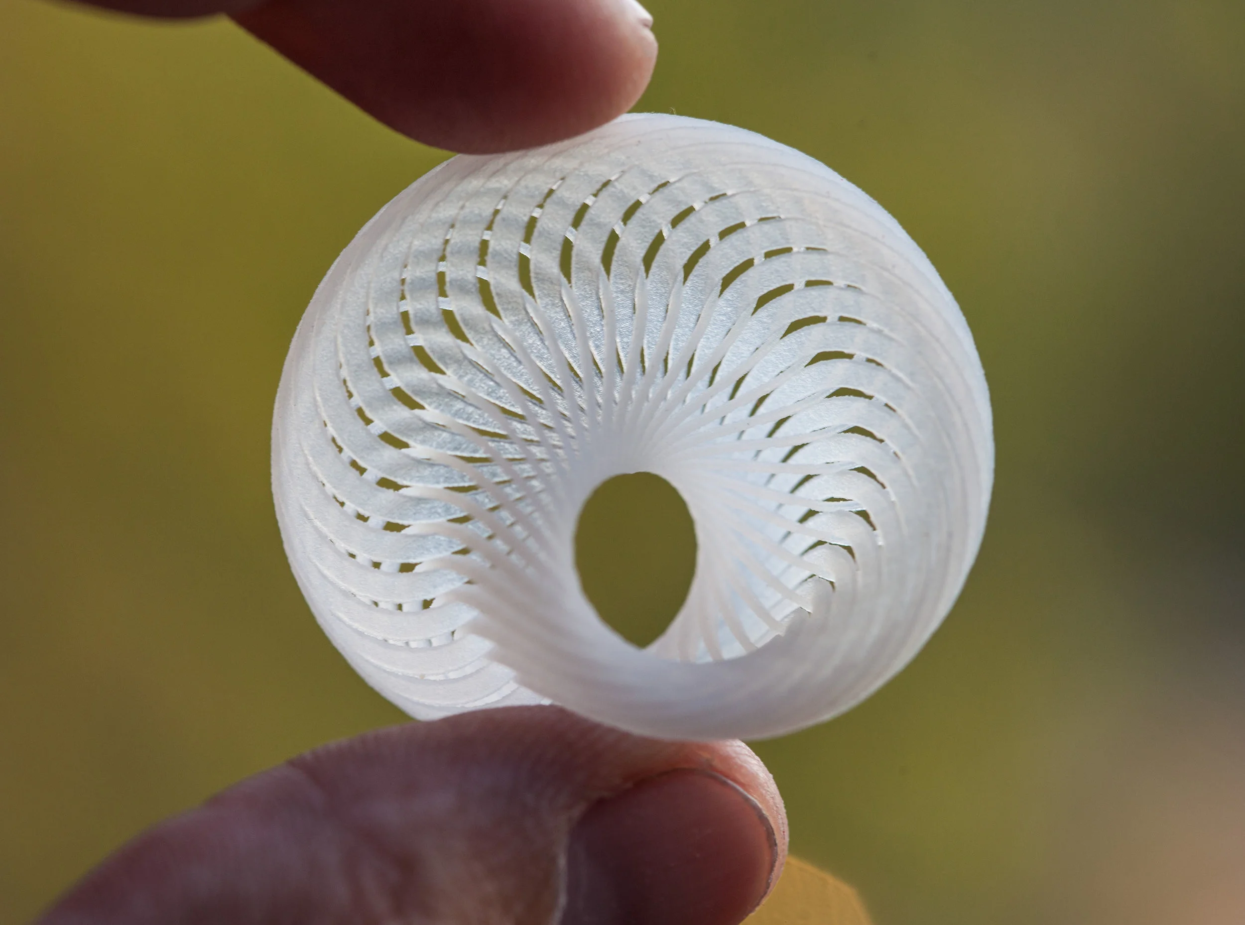 Mobius Minusculus - Fingers.jpg